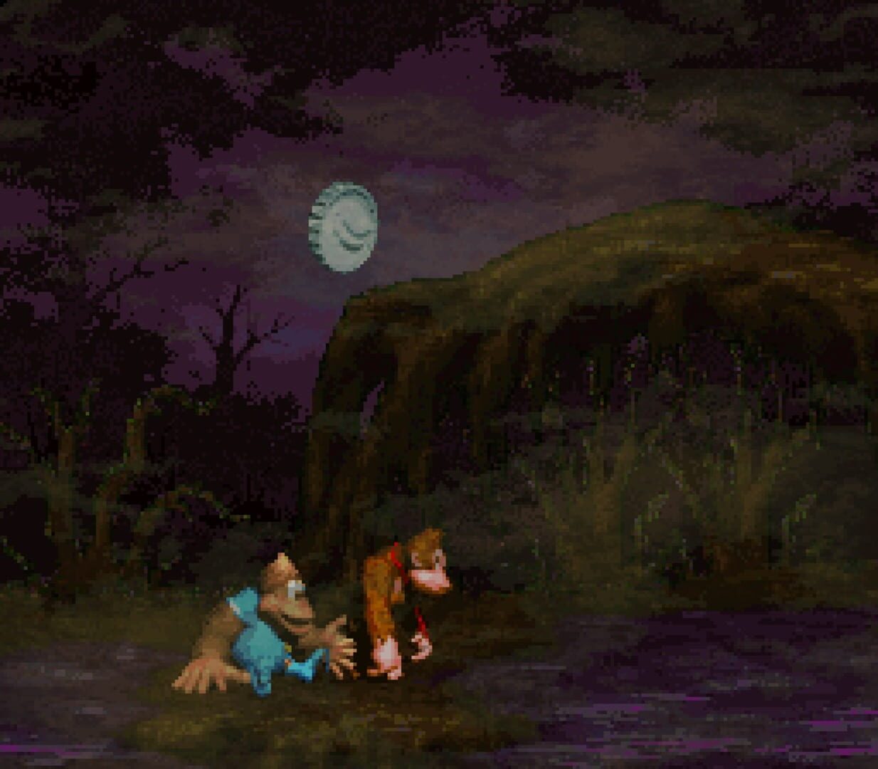Donkey Kong Country 4: The Kongs Return
