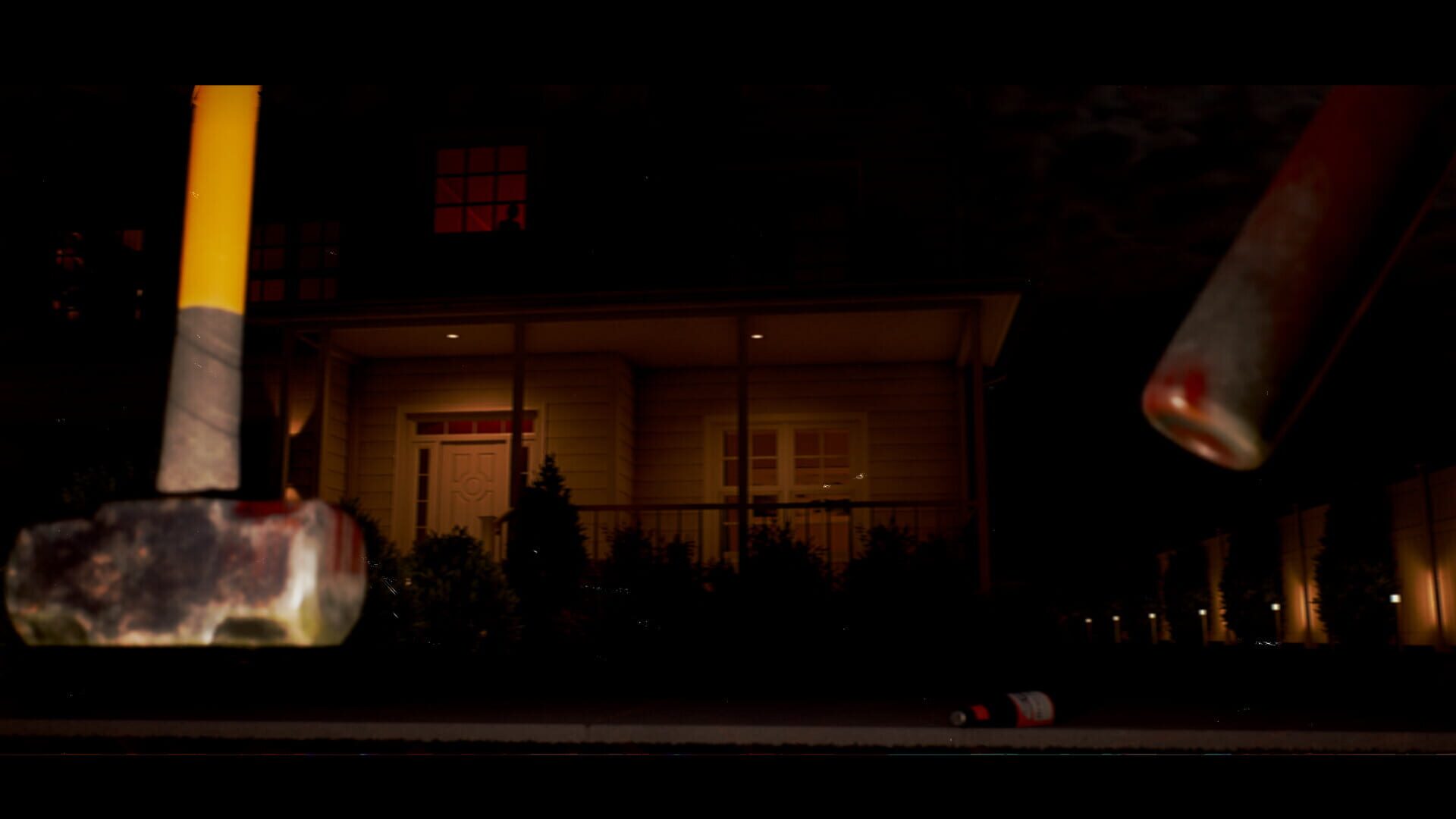 Roughhousing