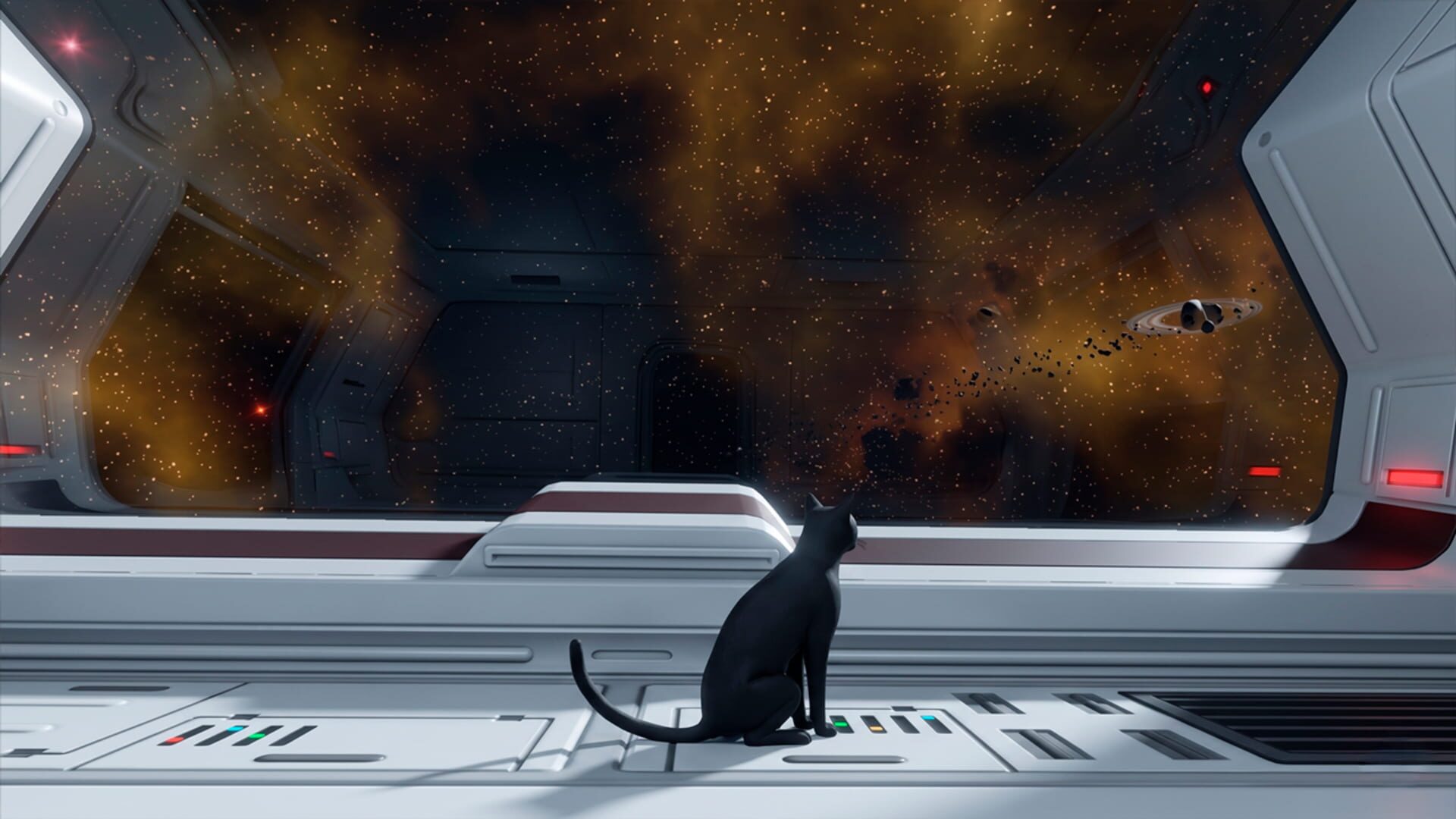 Little Paws: Kitty Cat - Gold Edition - Screenshot