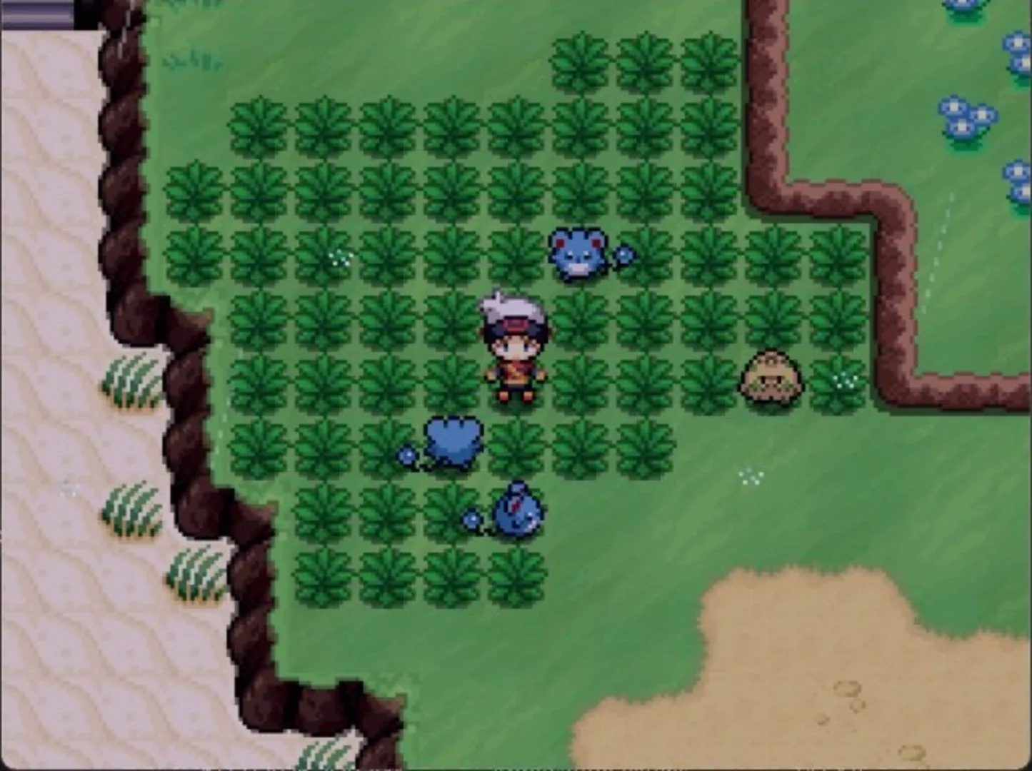 Thumbnail 5