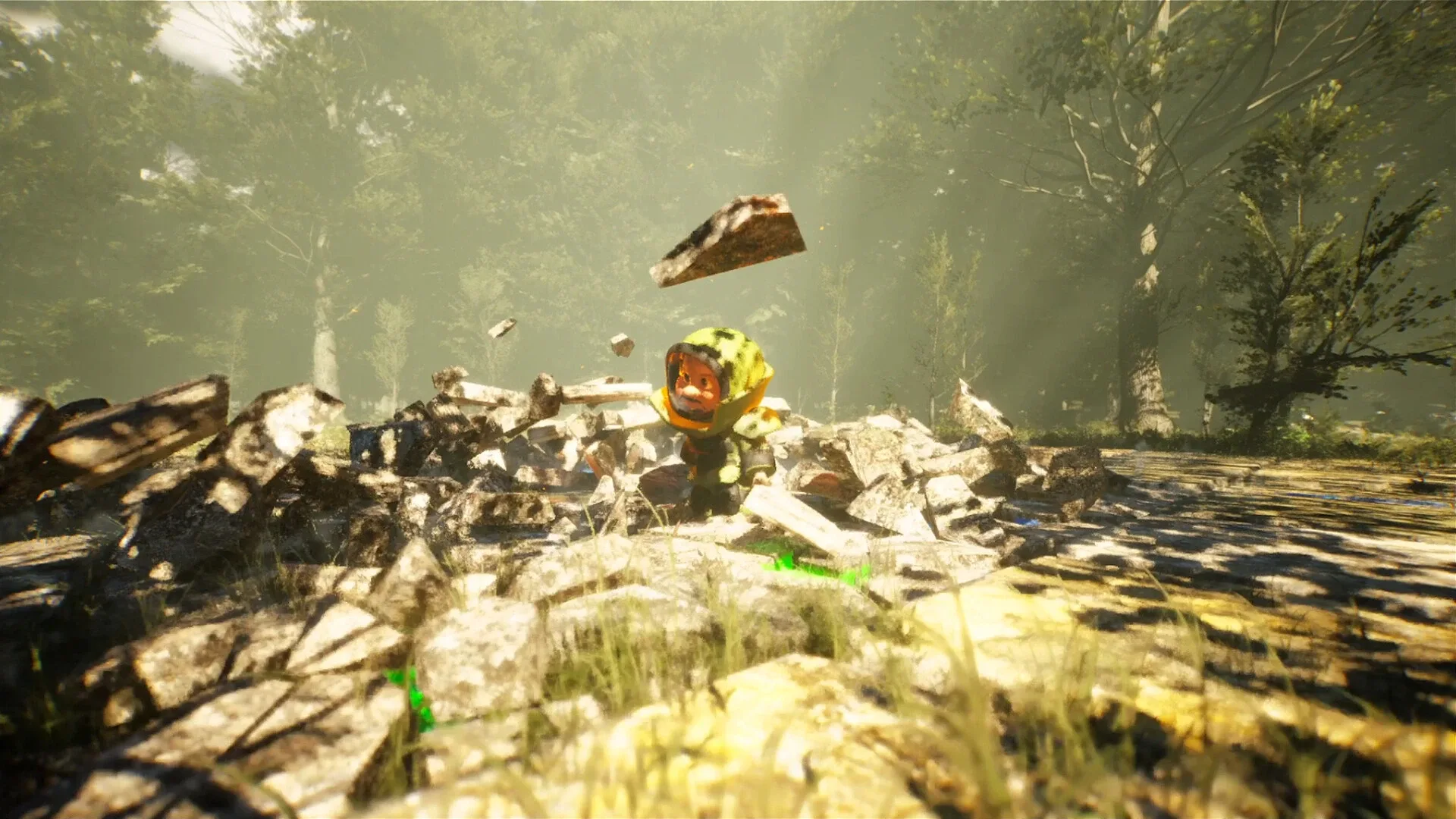 Thumbnail 7