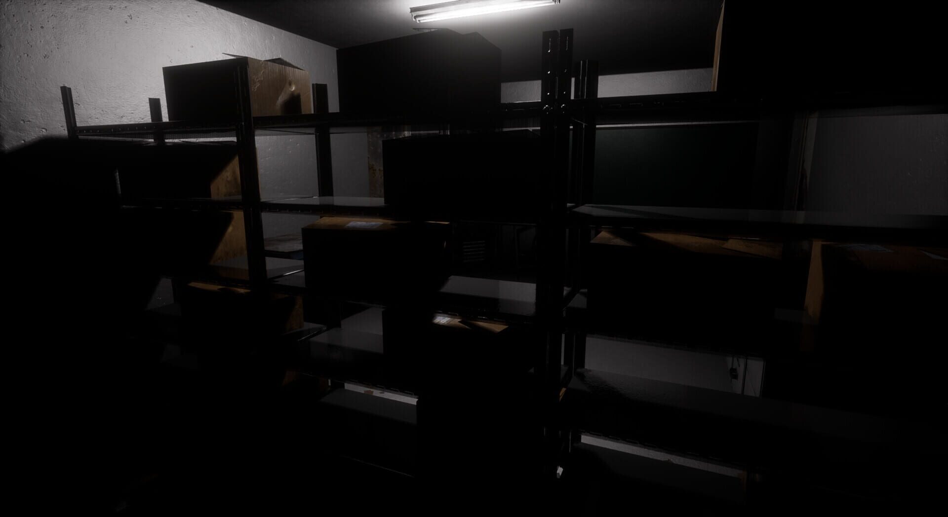 The Confined: Basement