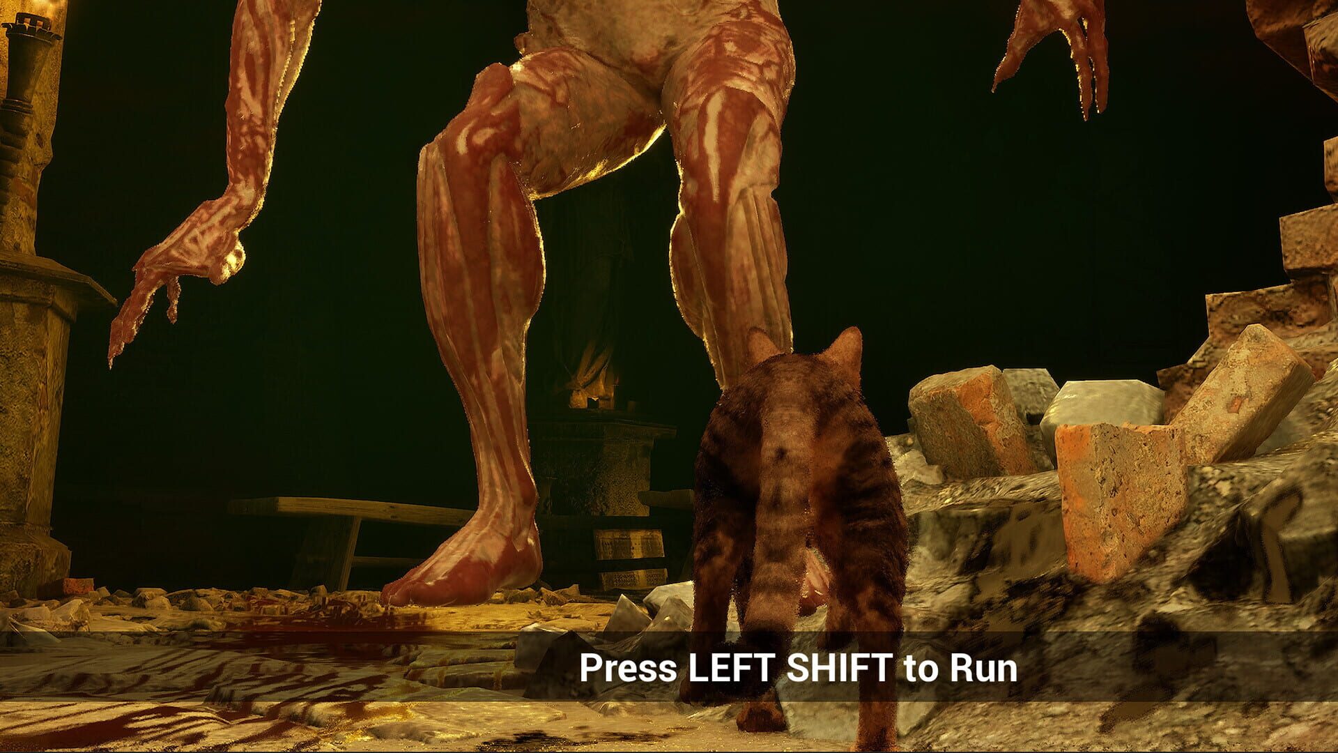 Meowmories