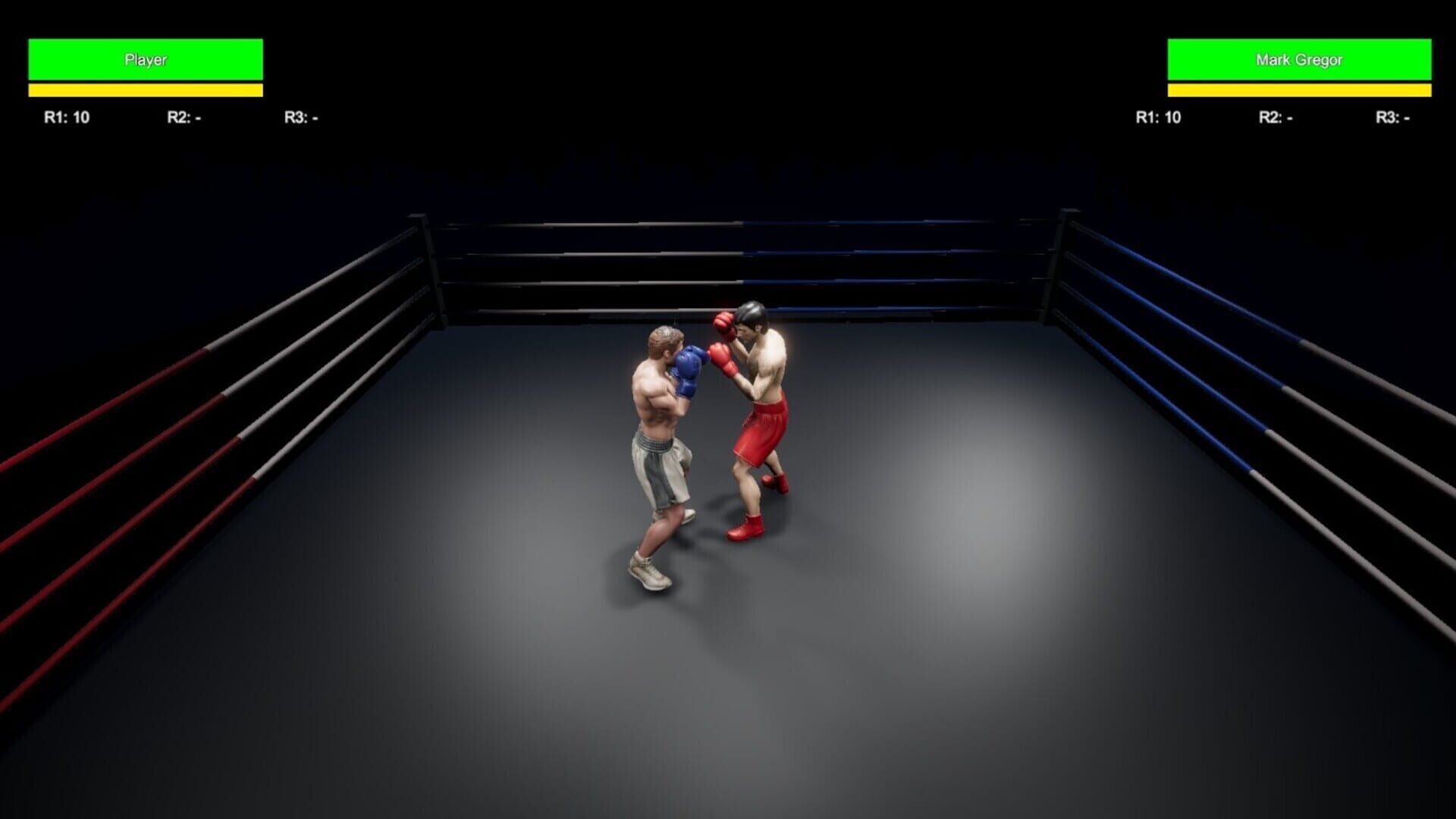 Boxing Life Simulator - Screenshot