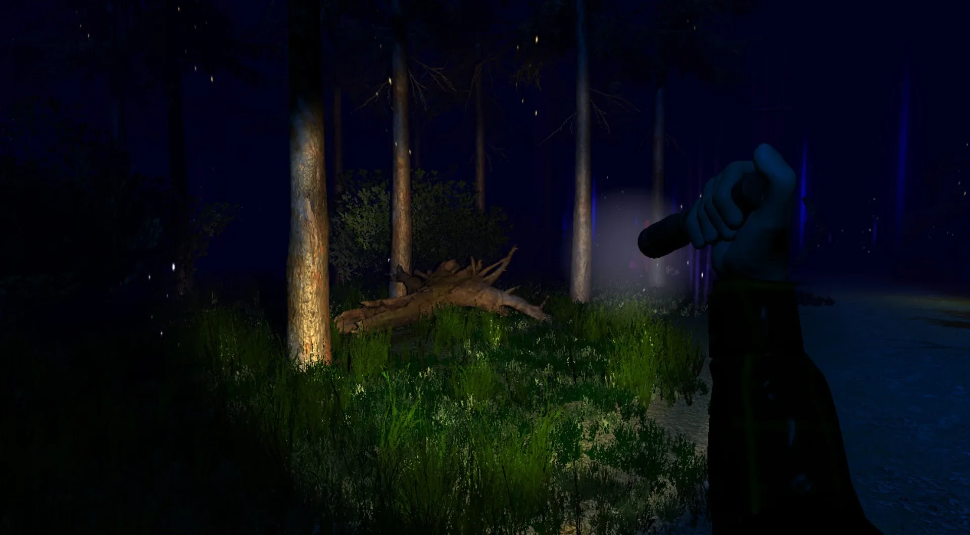 Thumbnail 7