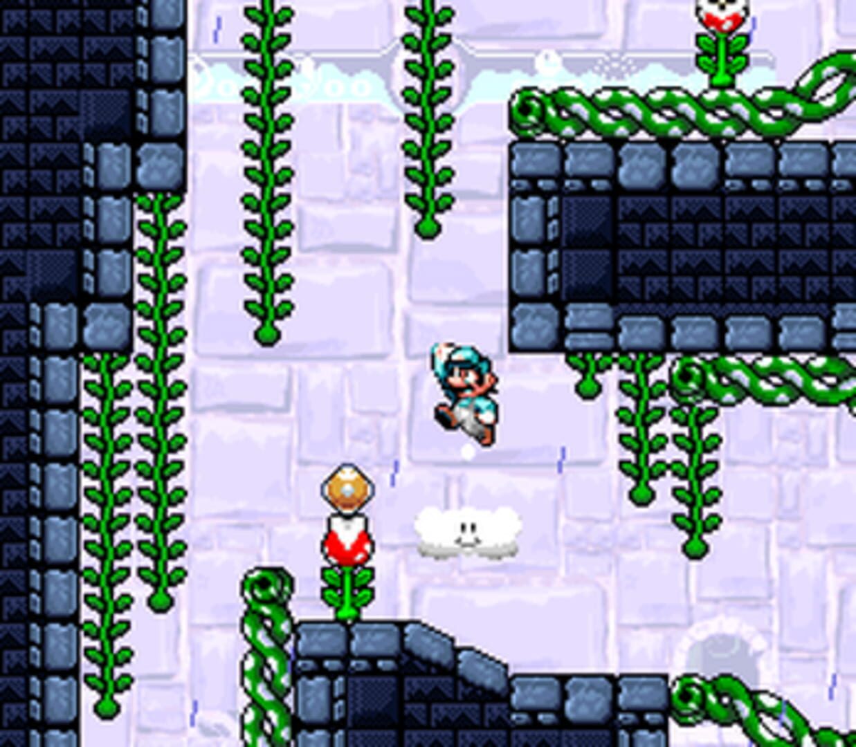 What a Mario World! - Screenshot