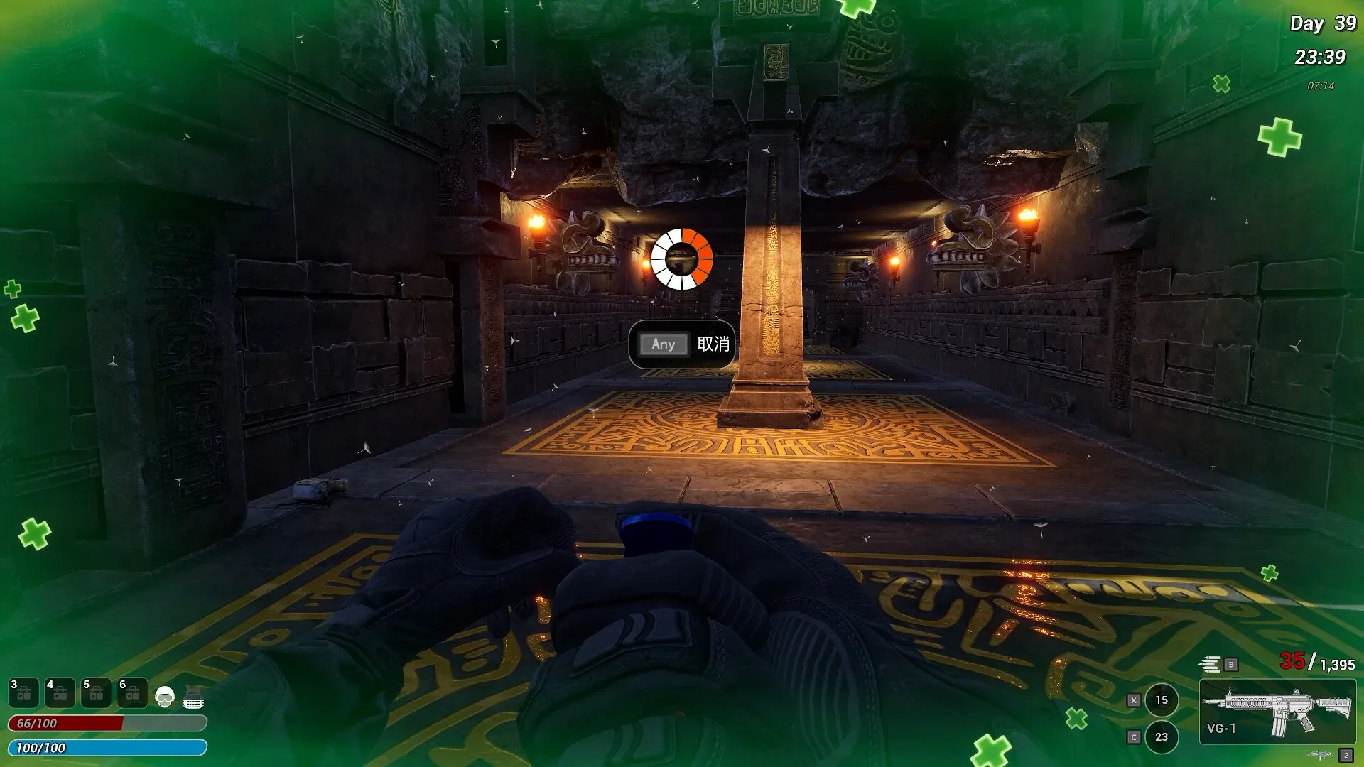 Thumbnail 13