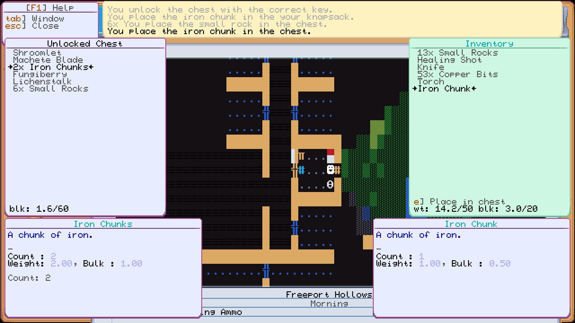 Dungeons of Freeport - Screenshot