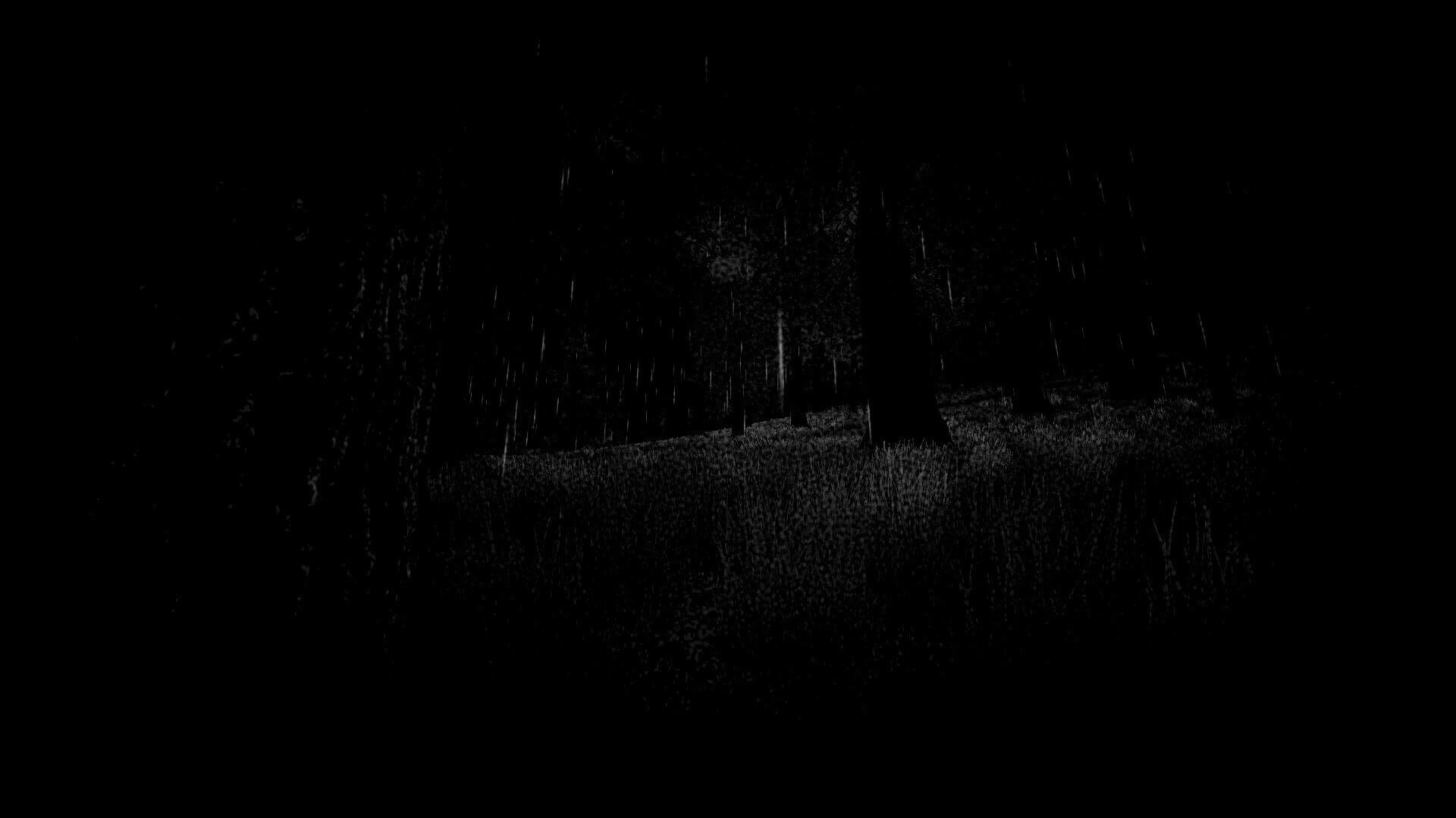 Slendyjan - Screenshot
