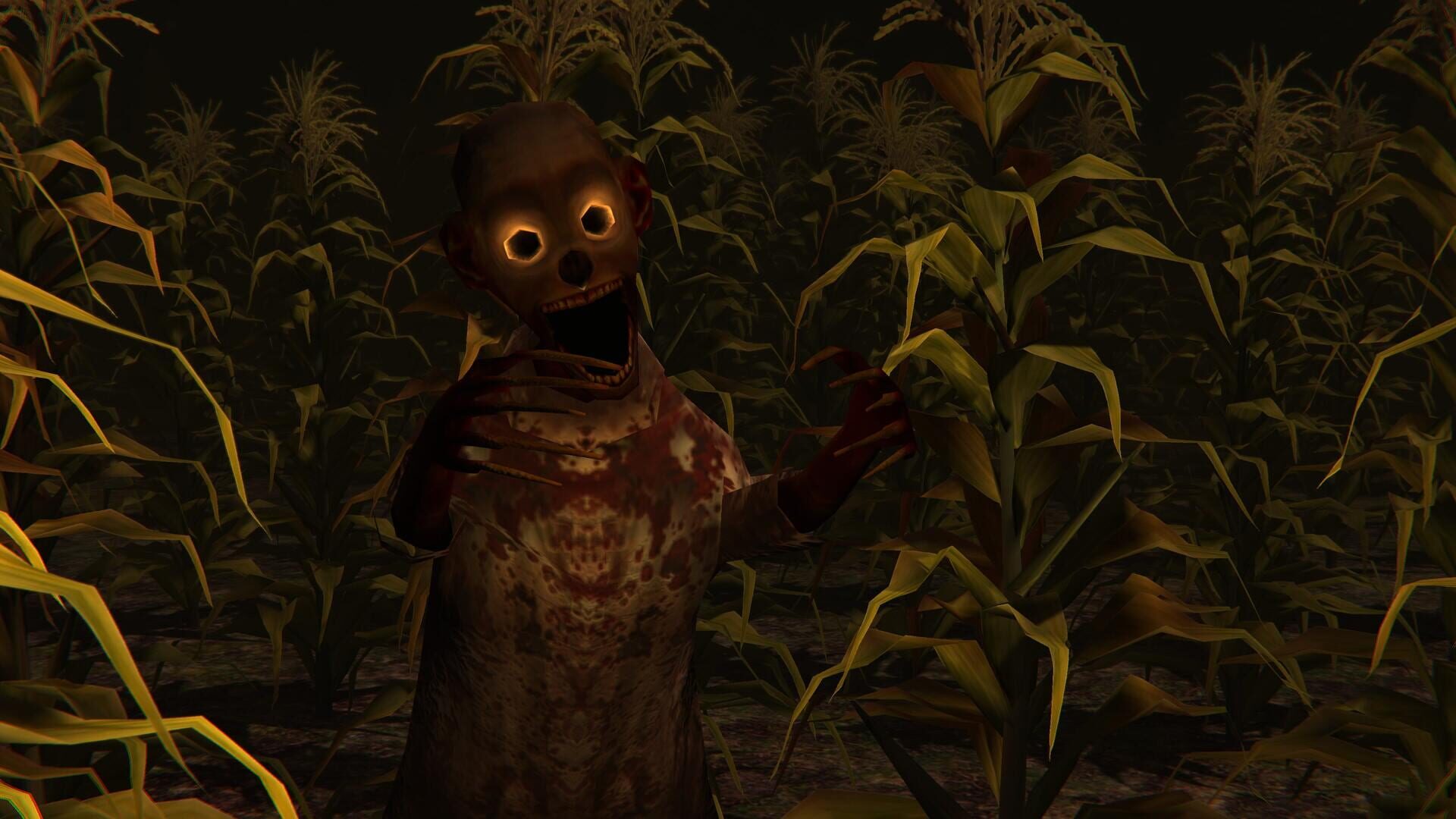 Cornfield