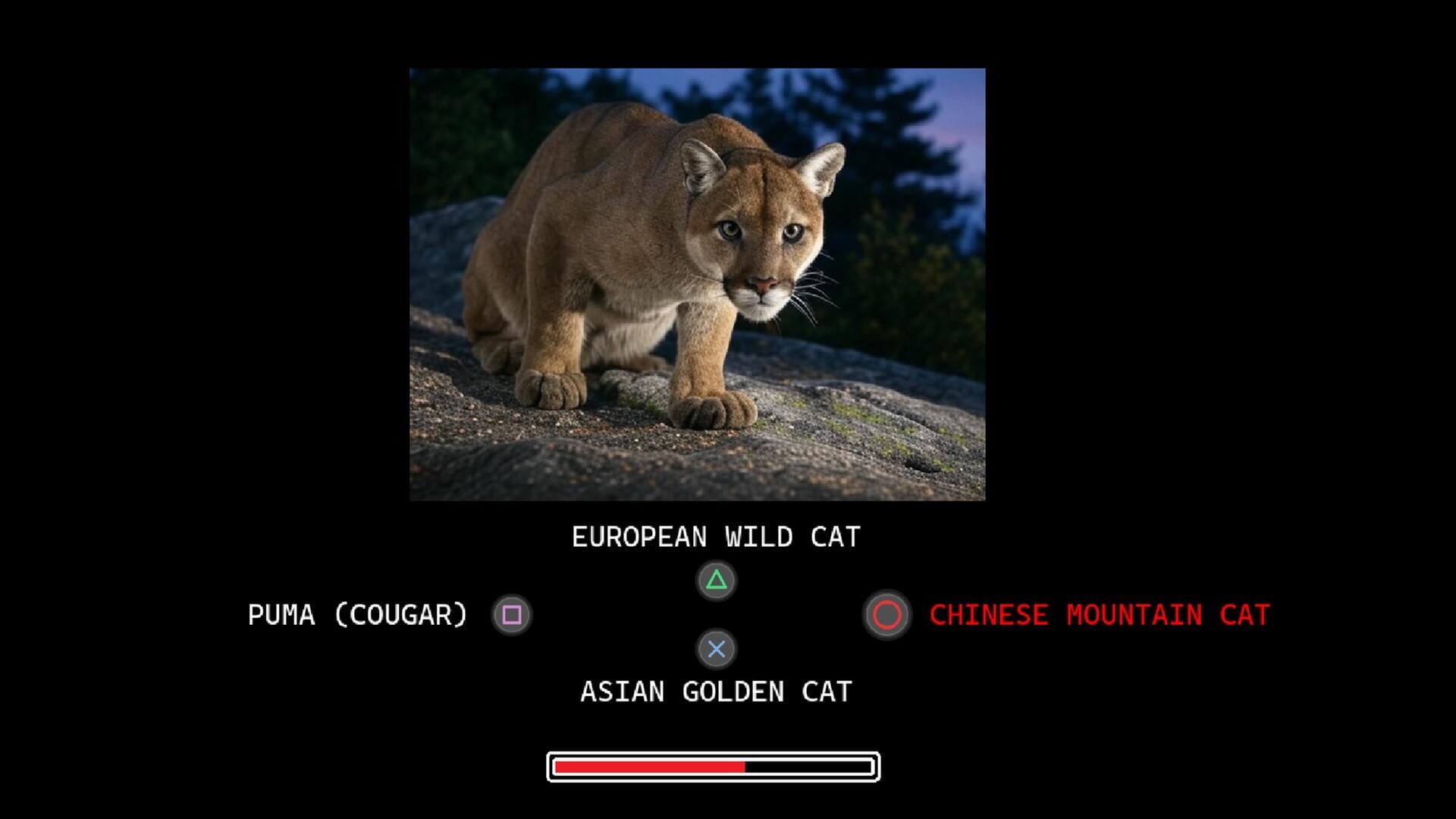 Which Is It? - Screenshot