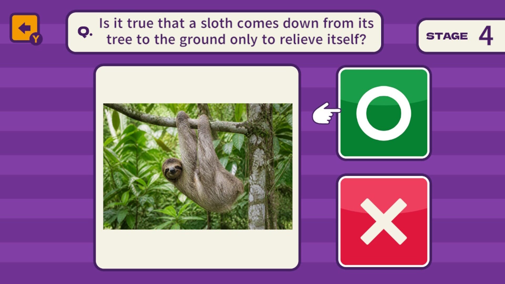 One Question and You'll Want to Share It! 1000 Trivia Quiz Questions