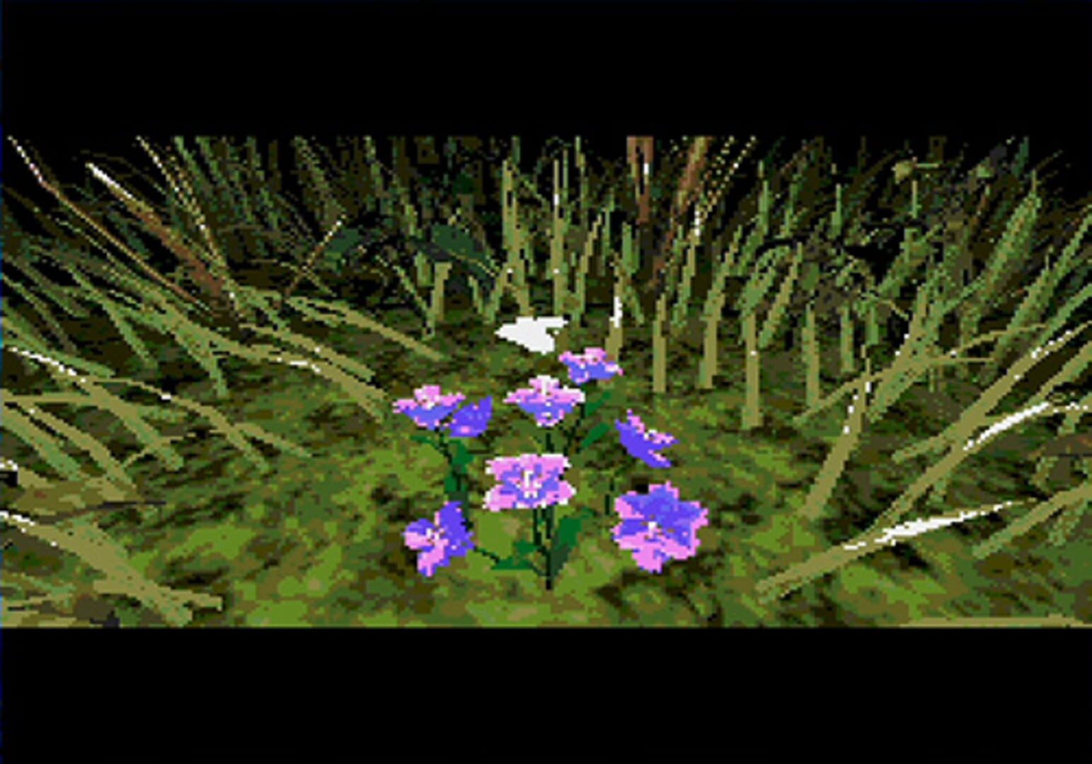 Mansion of Hidden Souls - Screenshot