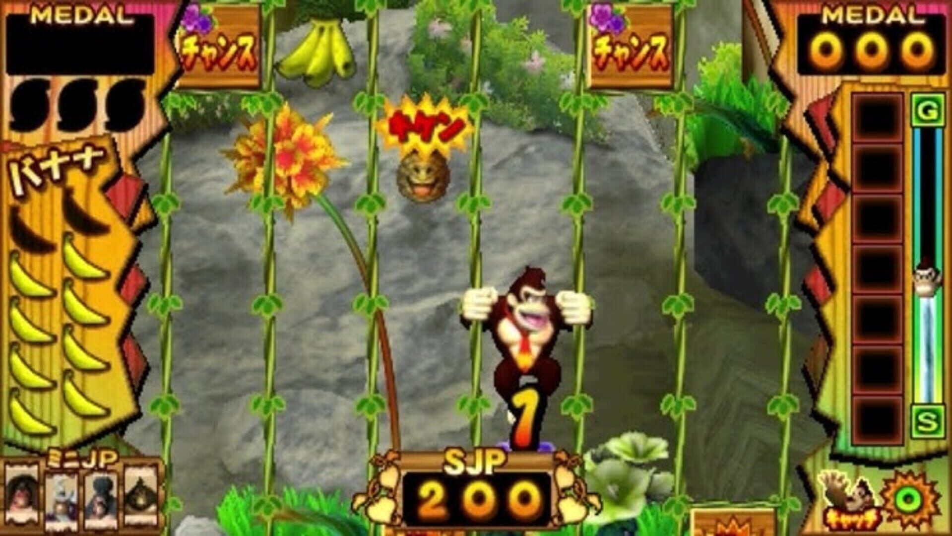 Donkey Kong Jungle Fever