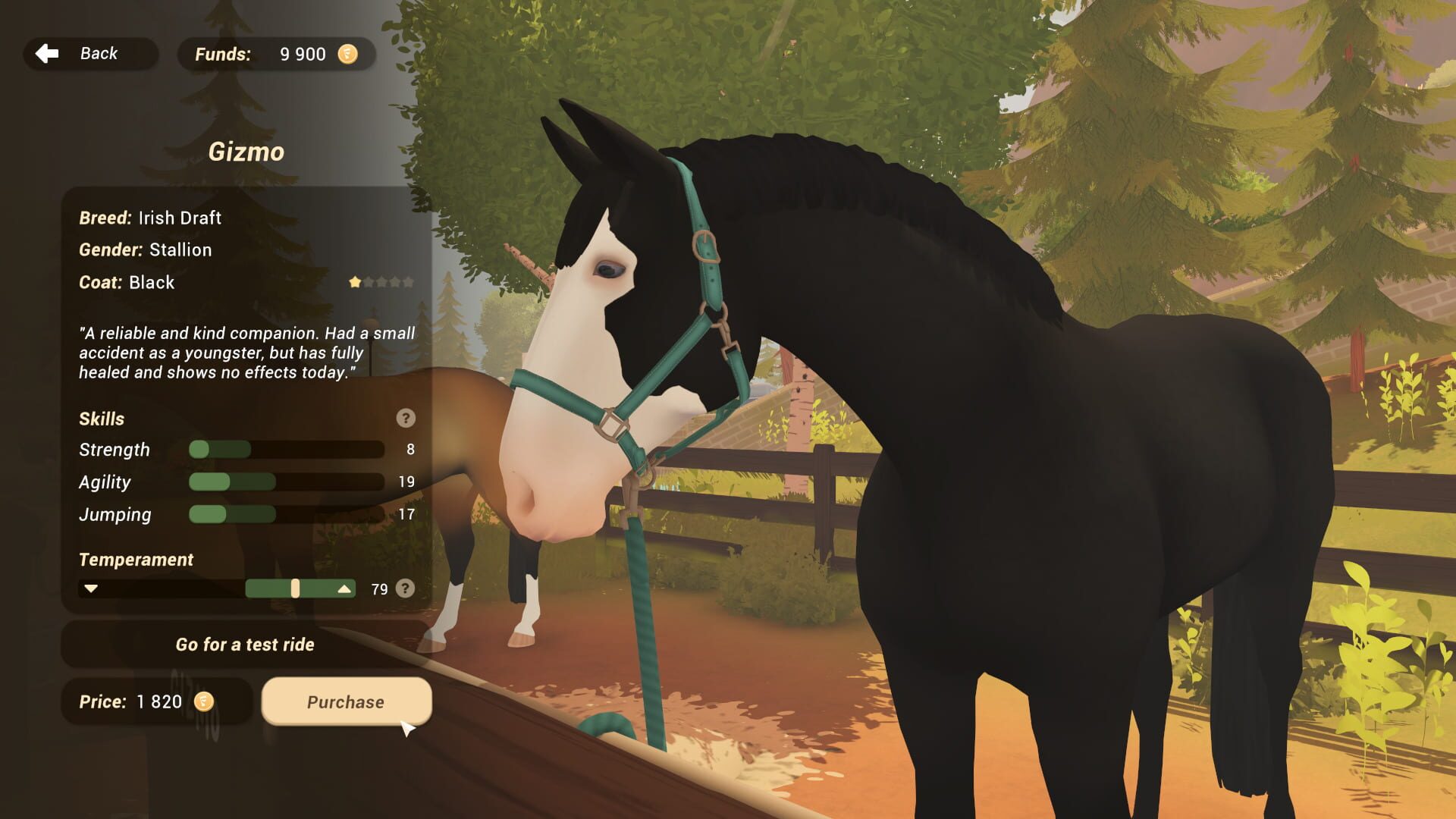 Fernhoof Grove: Riding Academy - Screenshot
