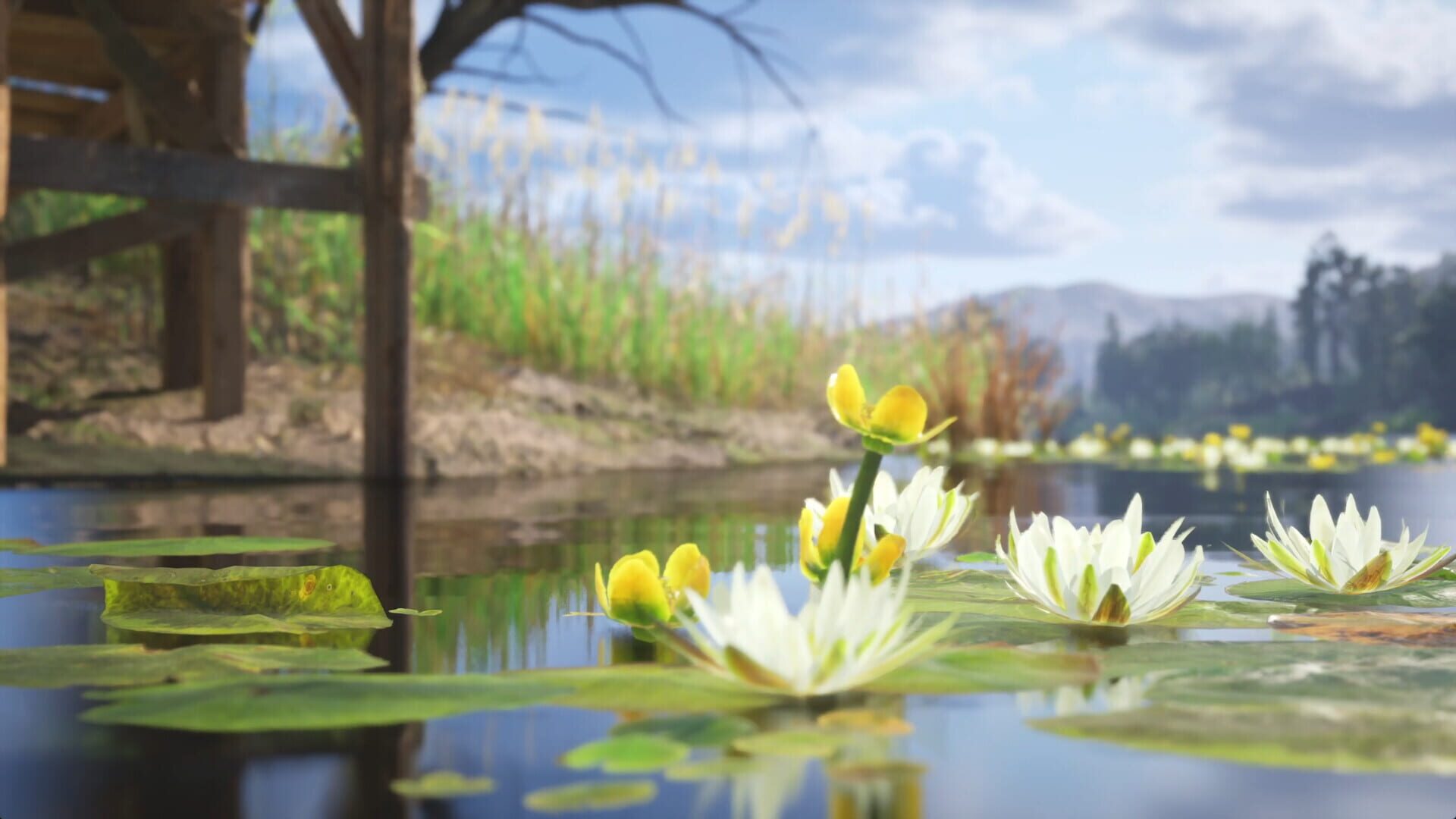 Breath of the Waters: The Angler - Screenshot