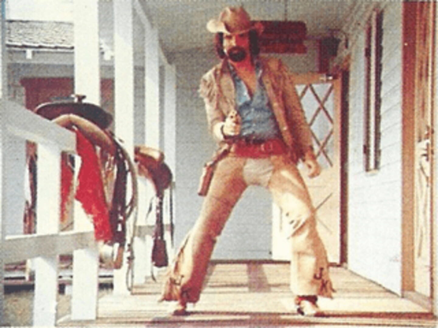 Wild Gunman