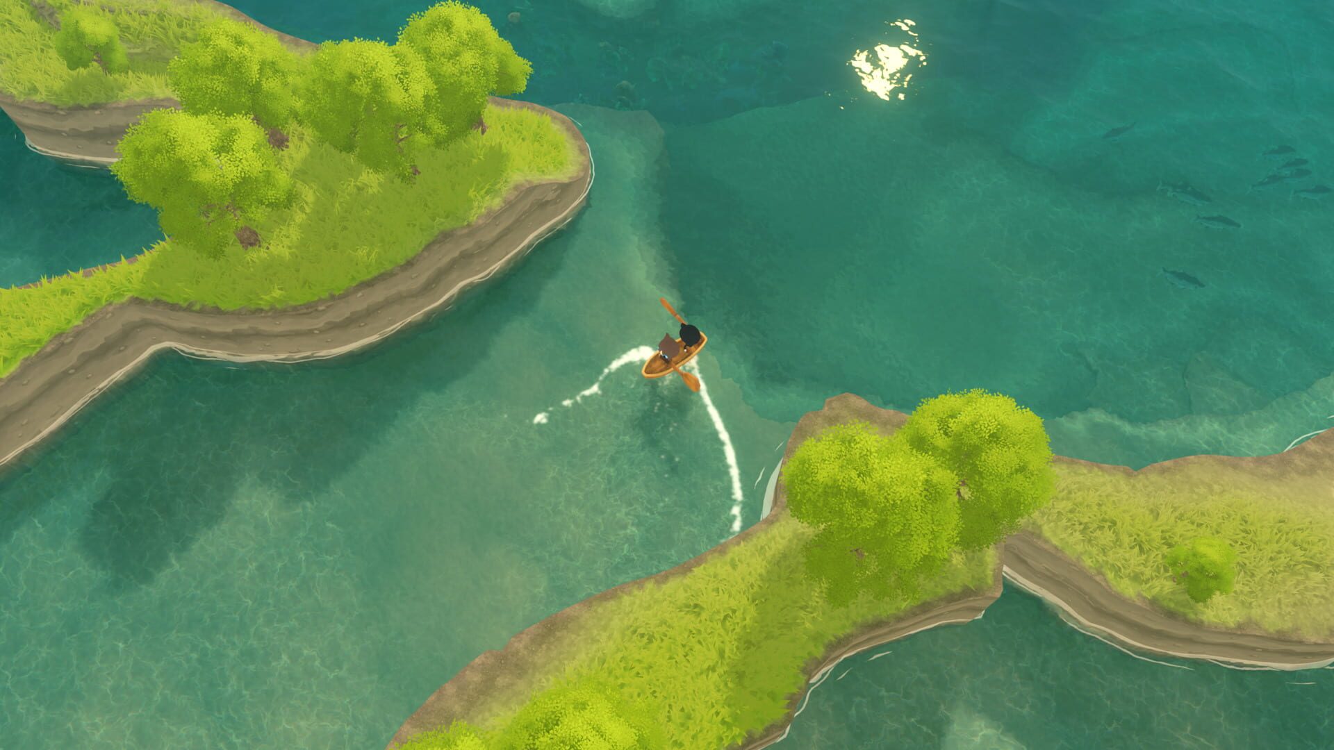 Paddle Cats - Screenshot