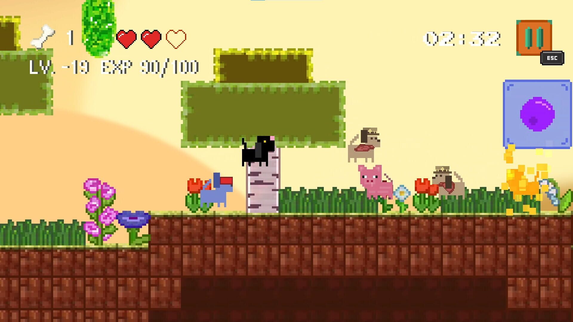 Dog Adventure - Screenshot