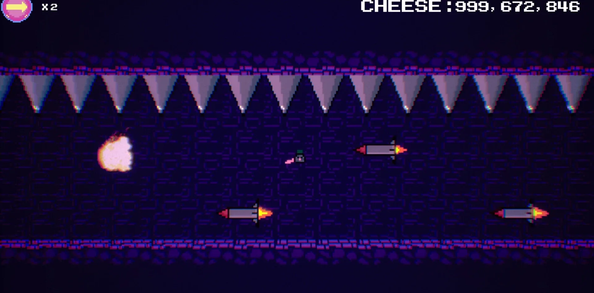Rat Quest: The Quest For Swiss