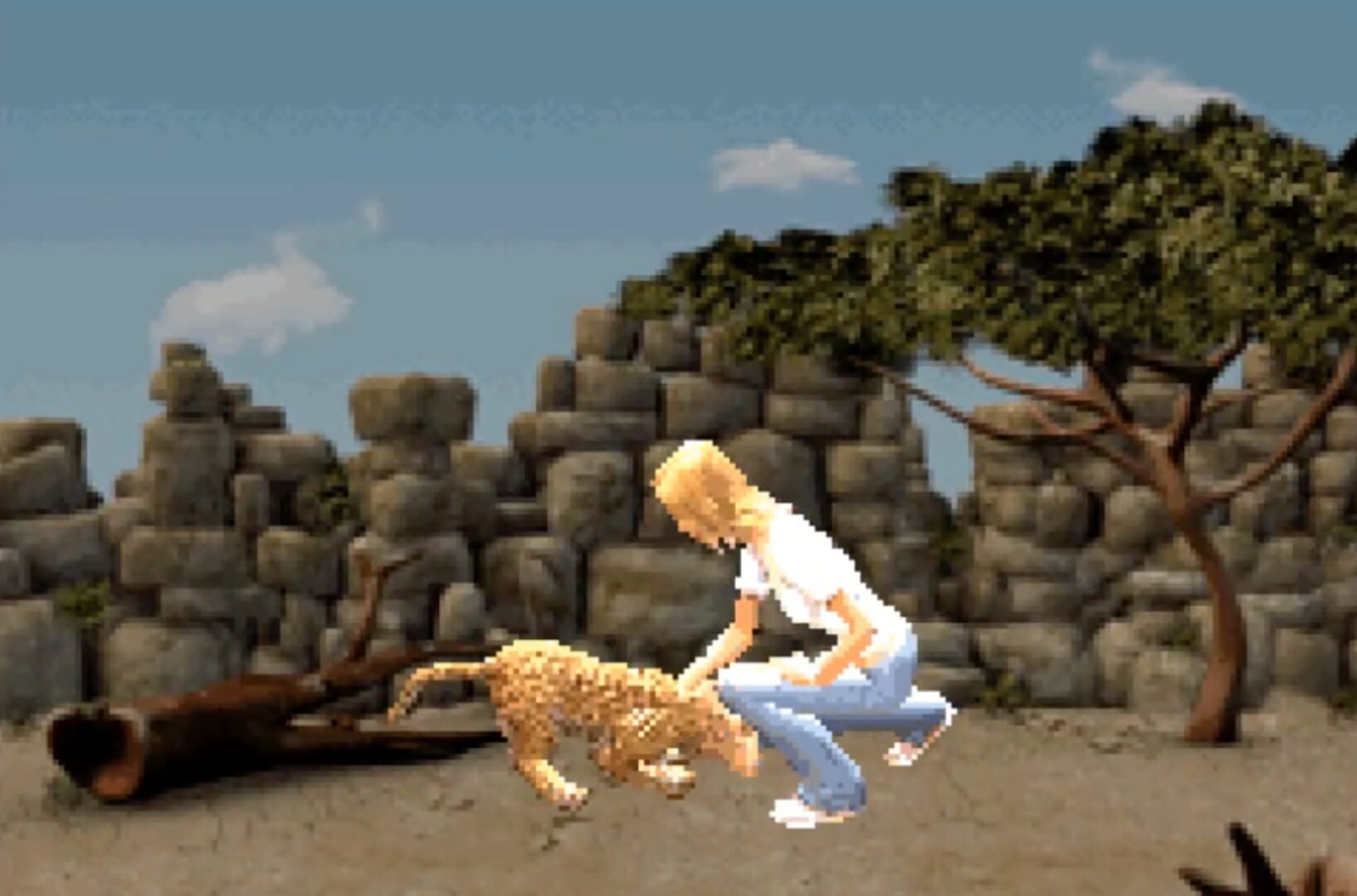 Screenshot for My Animal Centre in Africa