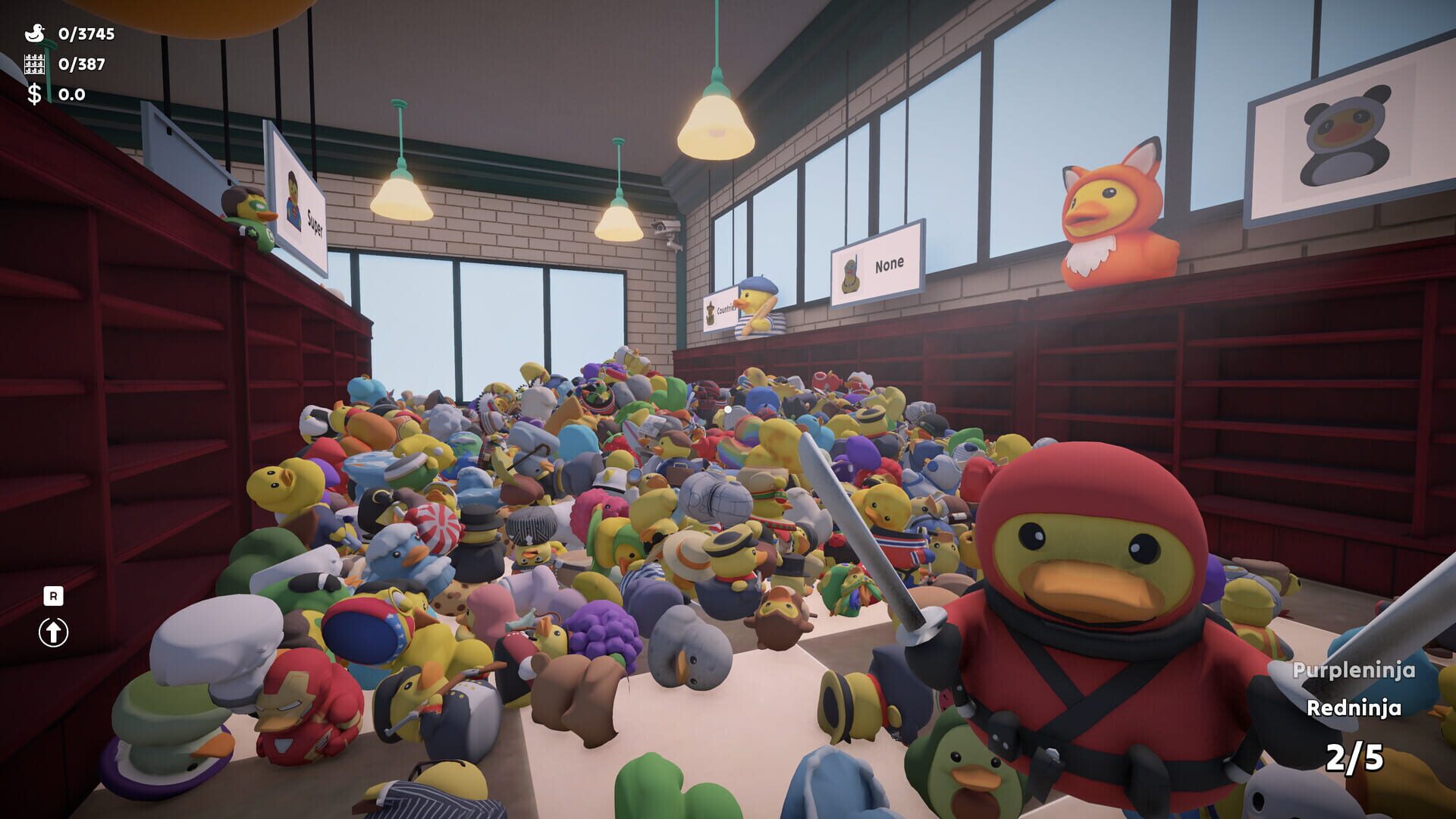 Sort Them Ducks
