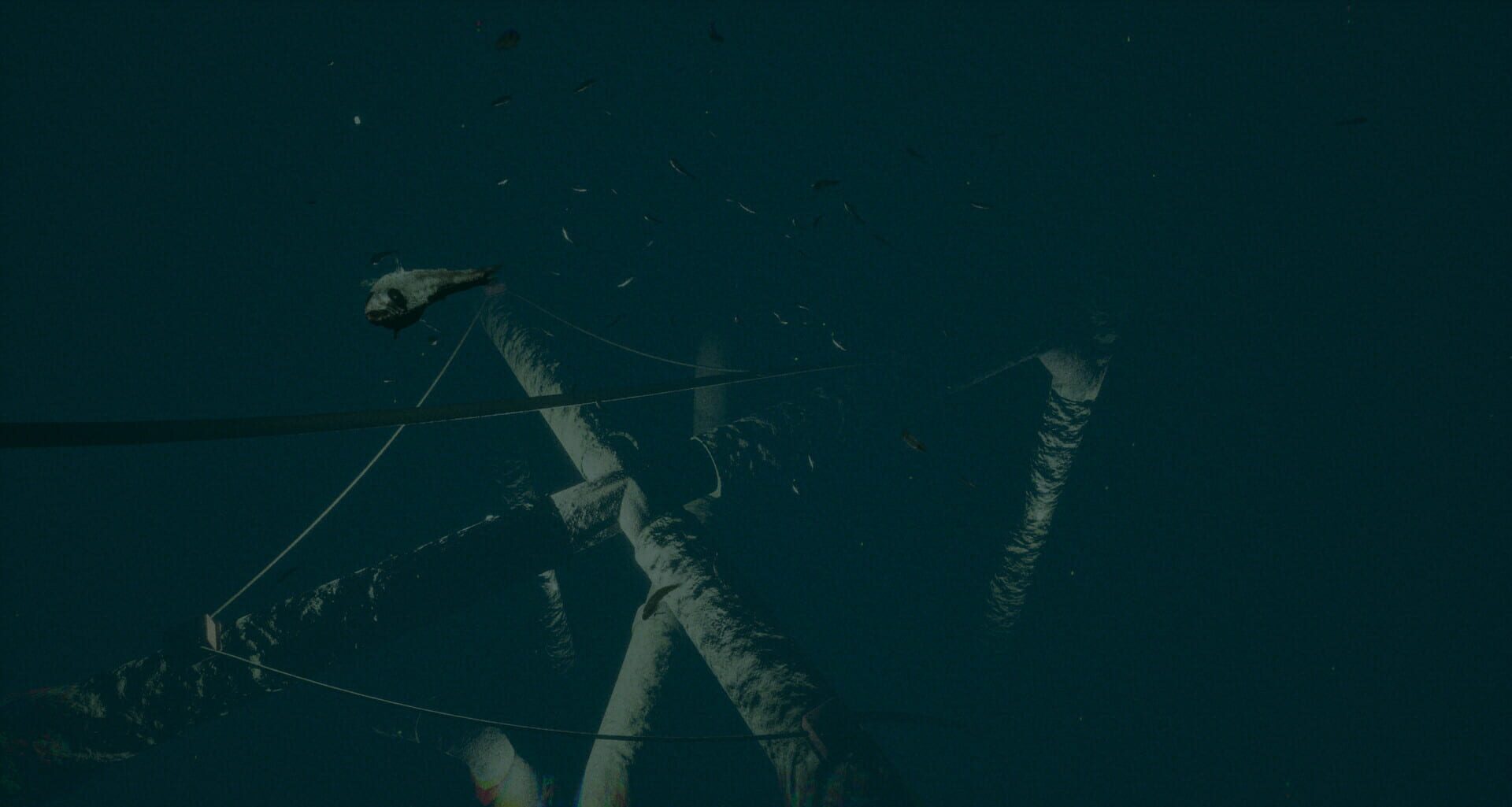 Dark of the Depths