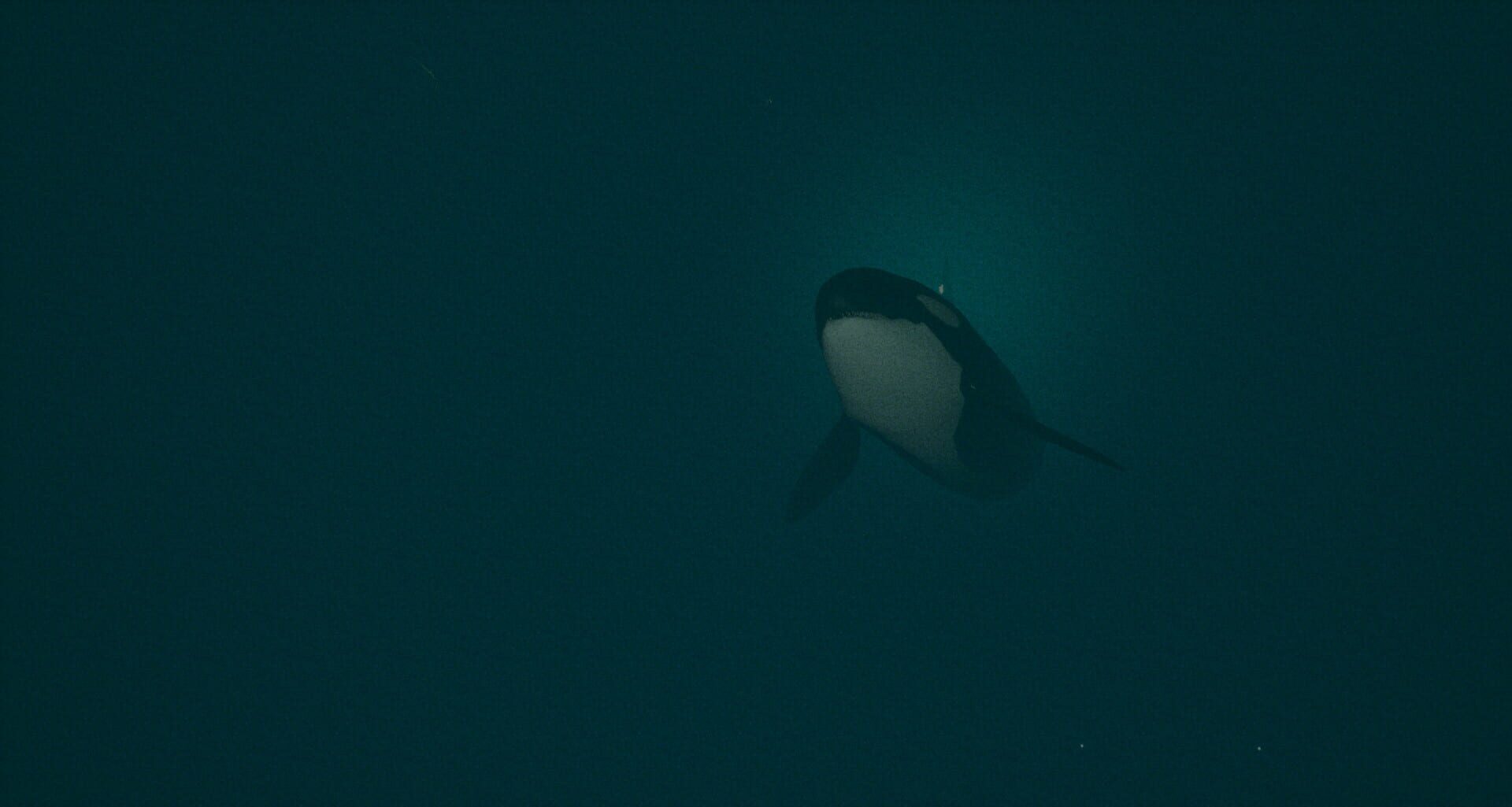 Dark of the Depths - Screenshot