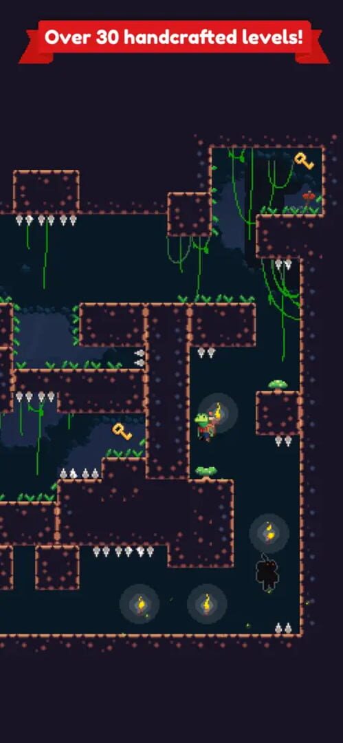 Shadow Frog - Screenshot