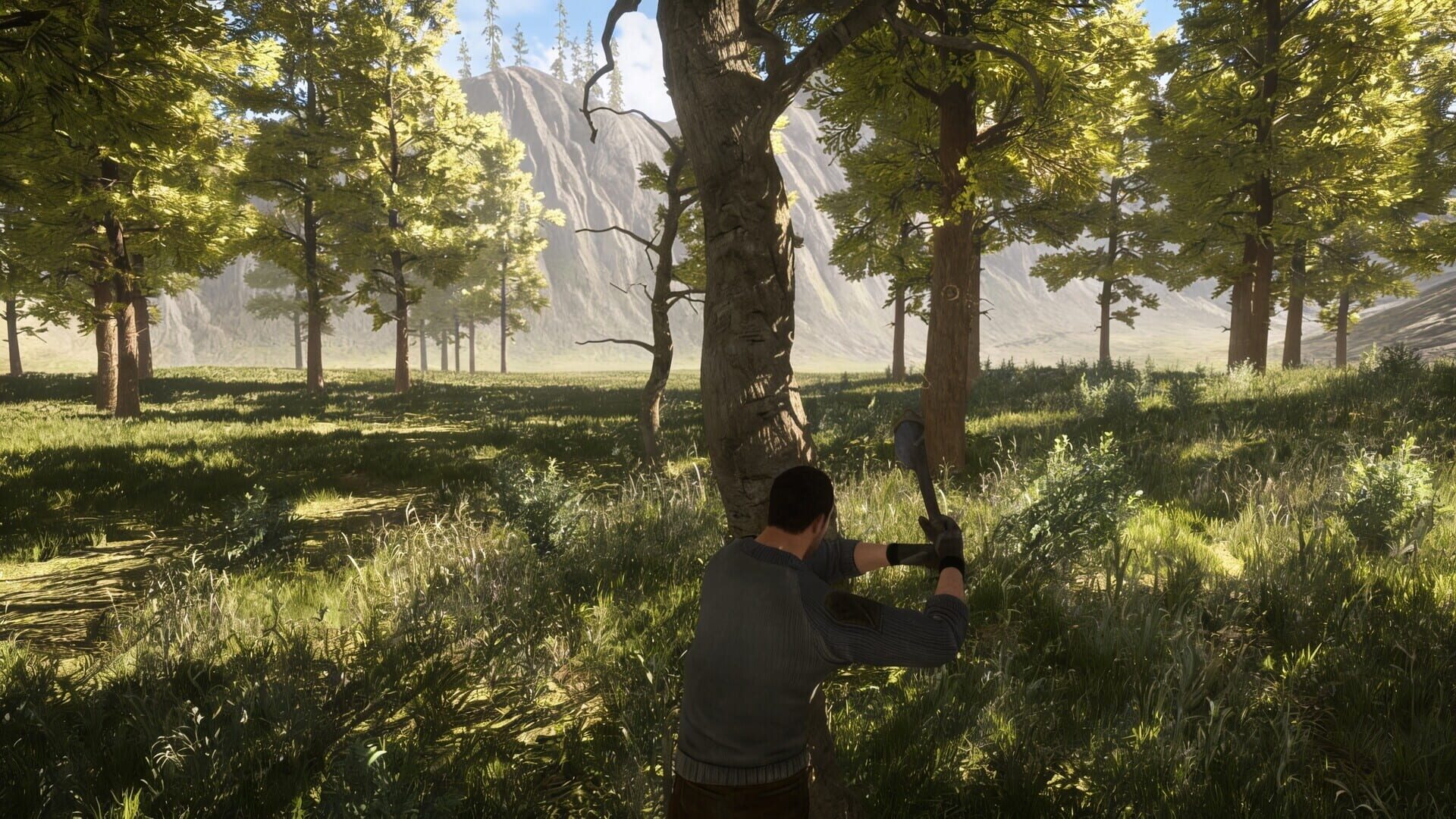 Voldark - Screenshot
