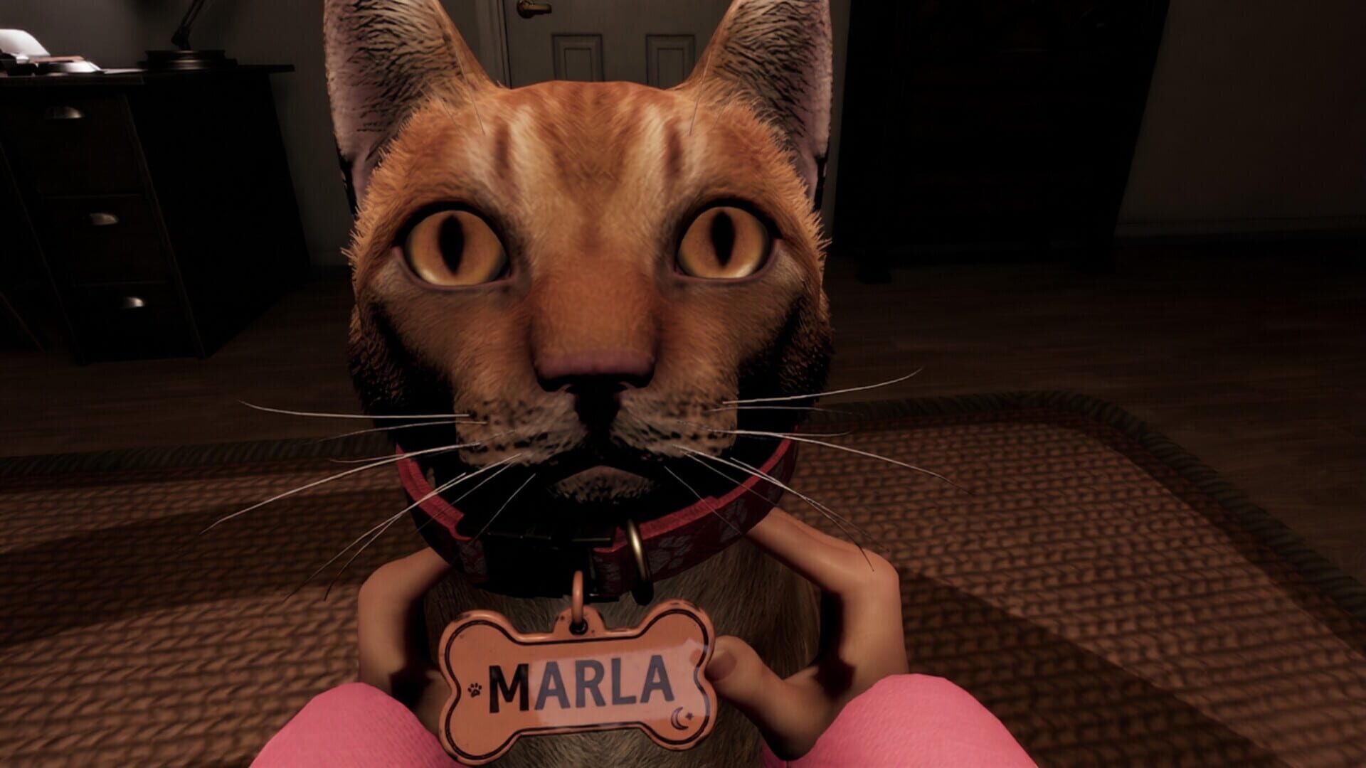 The Blinking Room - Screenshot