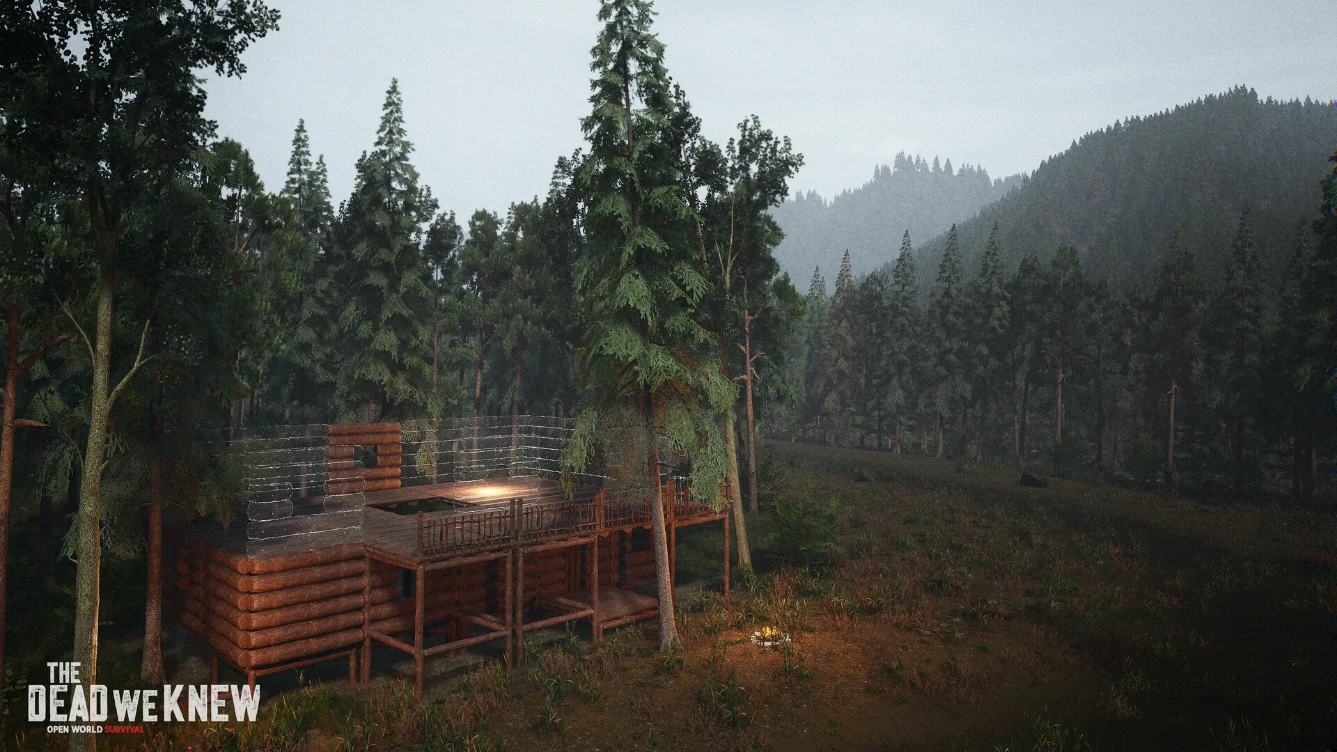 Thumbnail 12