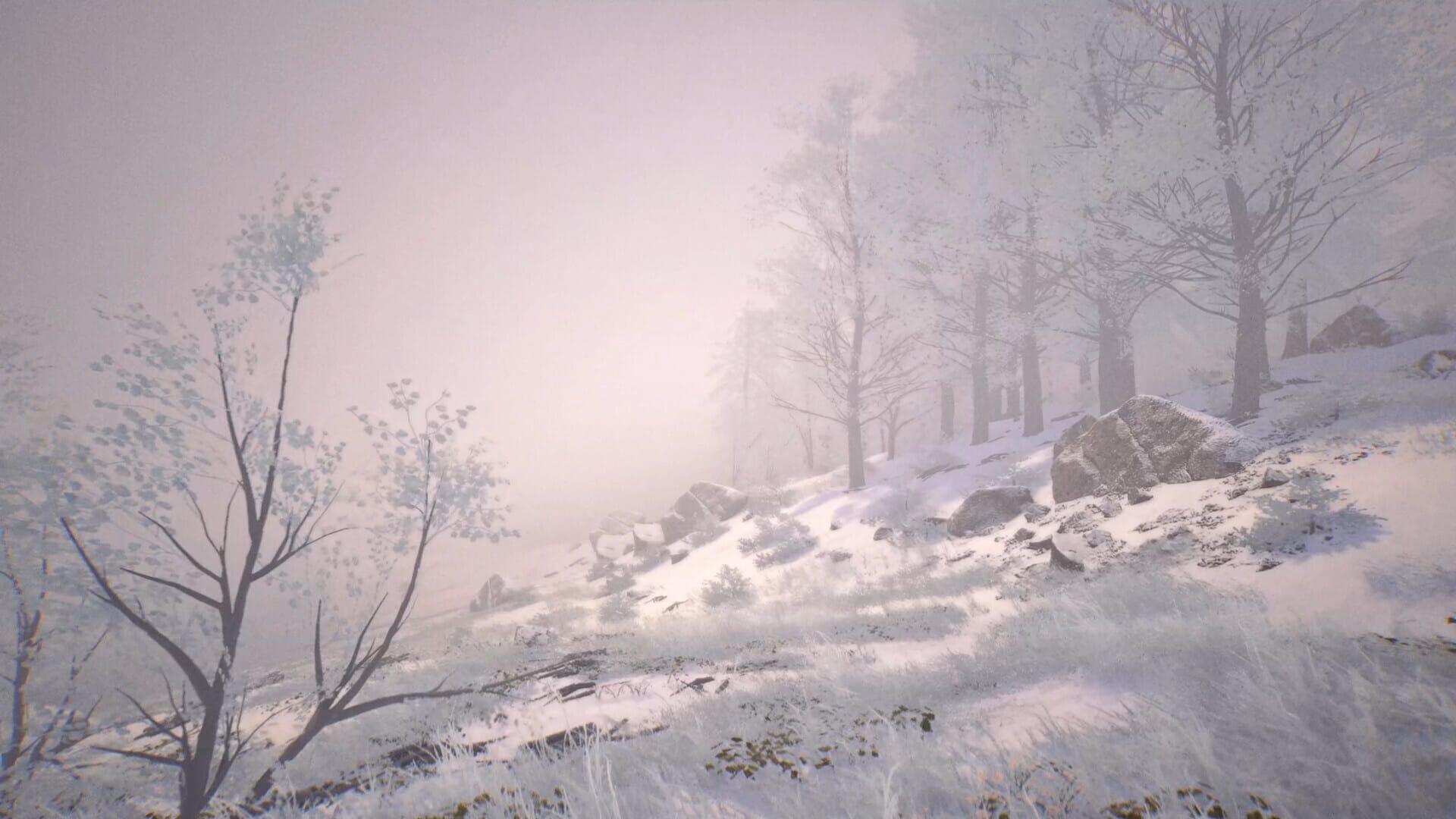 Heirs of the Moon - Screenshot