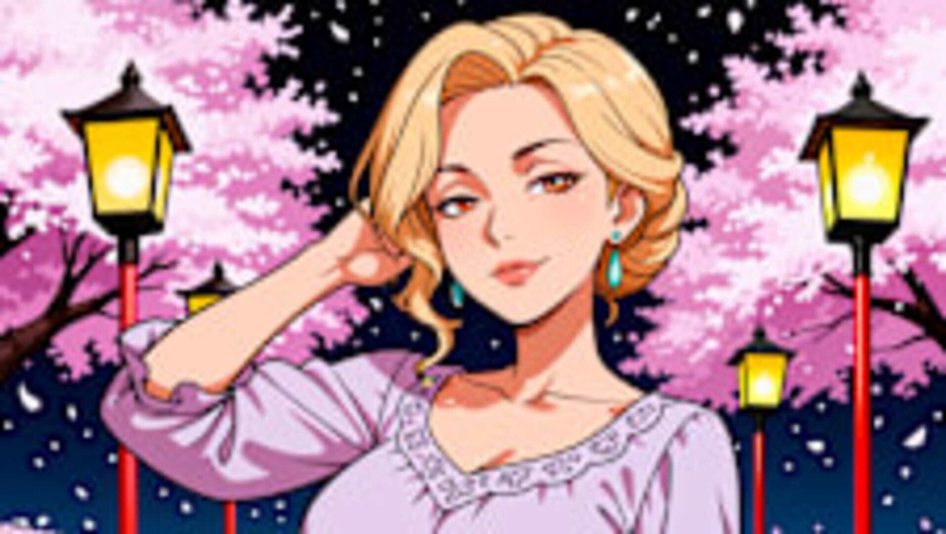 Hidden Girls: Private Nights - Screenshot