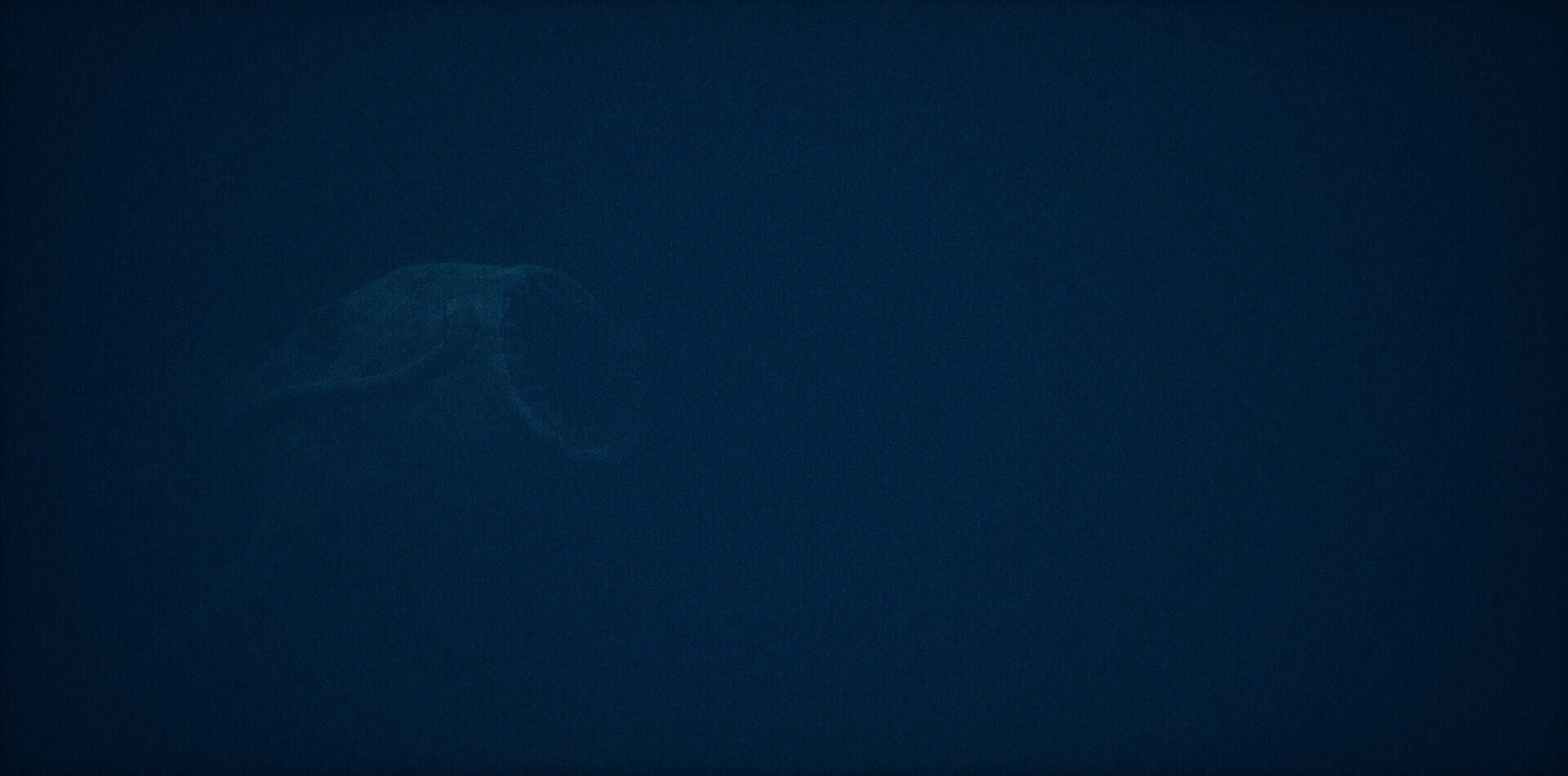 SCP: Darkwater - Screenshot