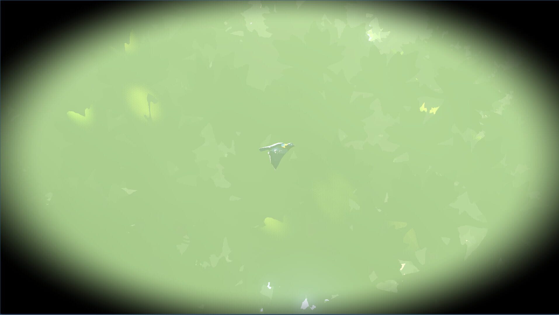 Look to the Birds