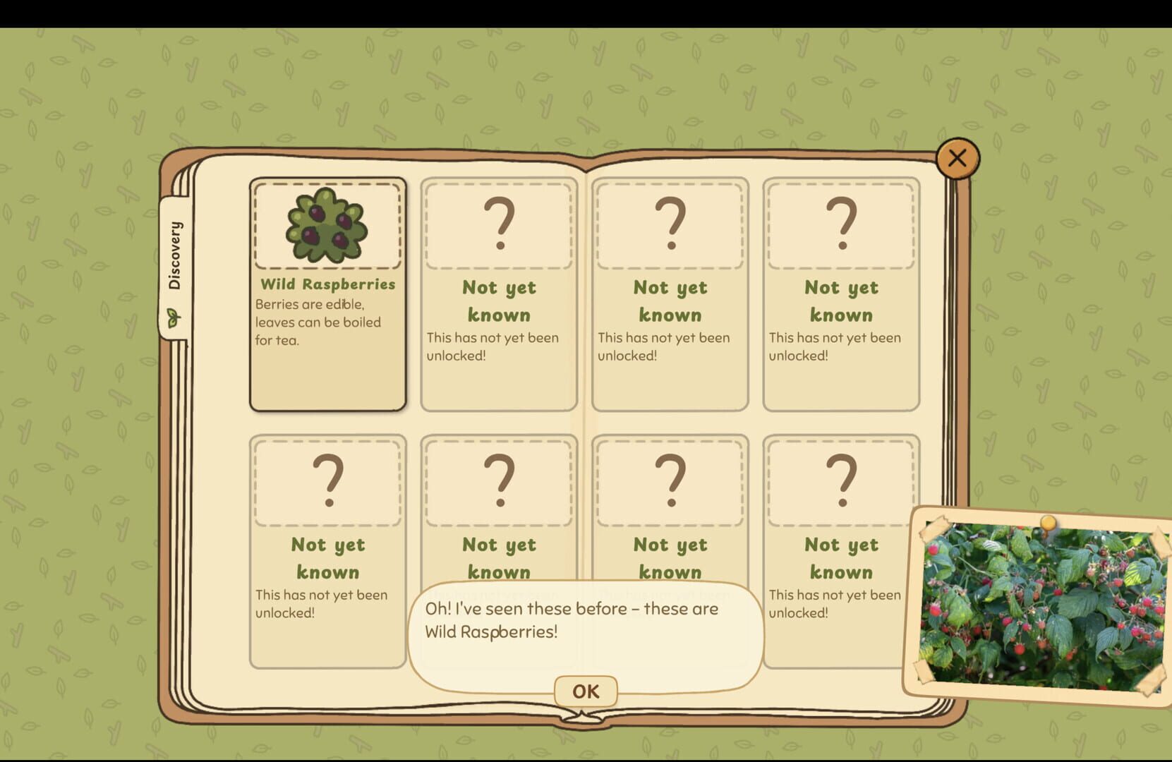 Grandma's Guide to the Grand Outside - Screenshot