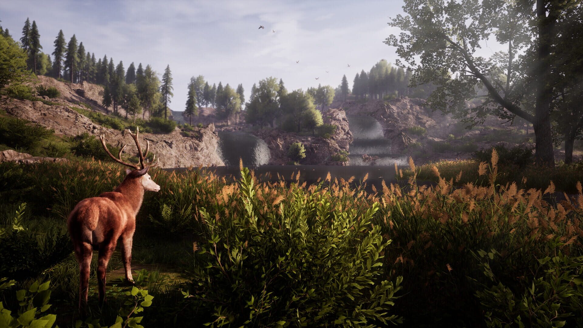 Medieval Dynasty: The Backwood - Screenshot