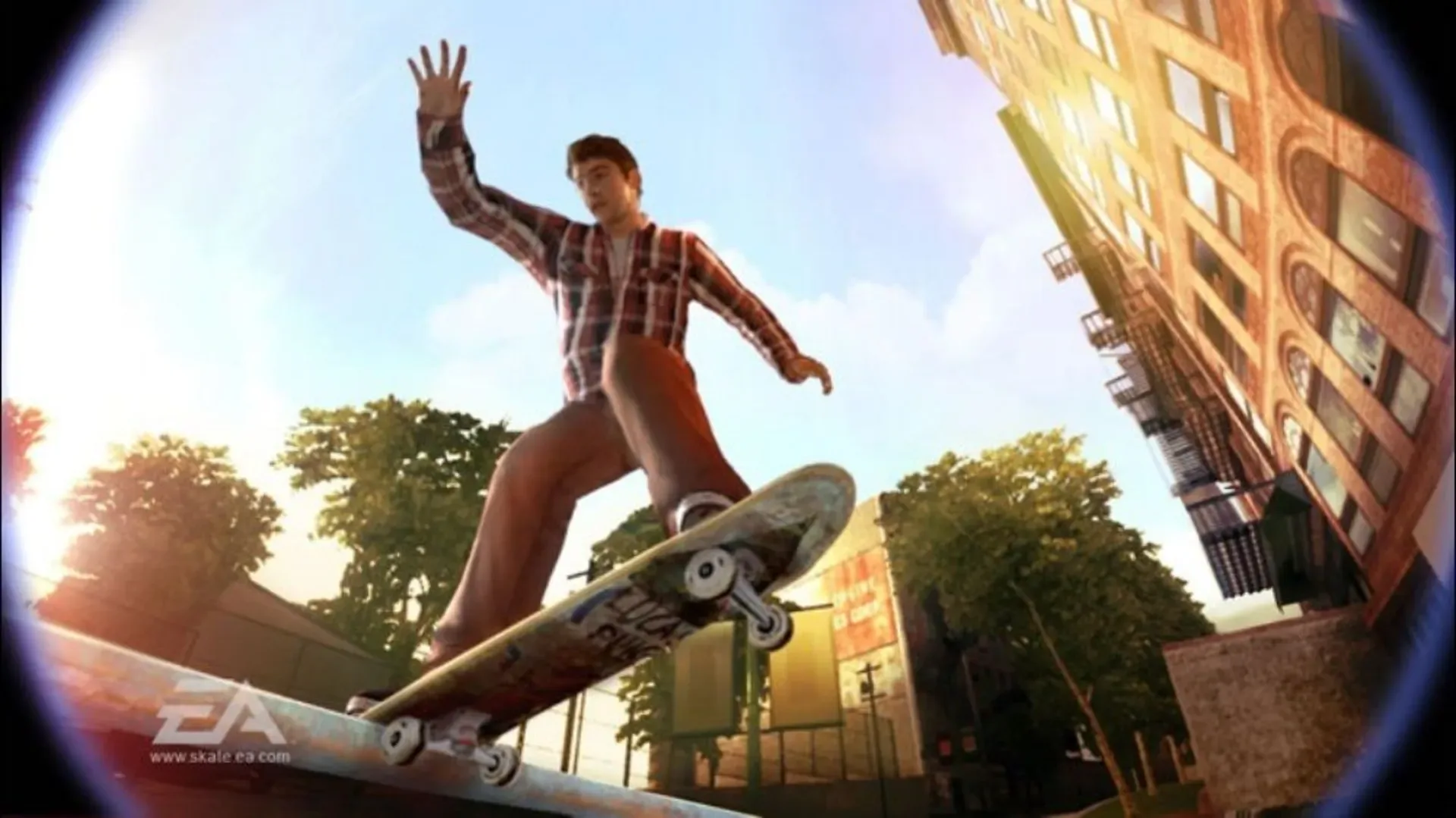 Thumbnail 12