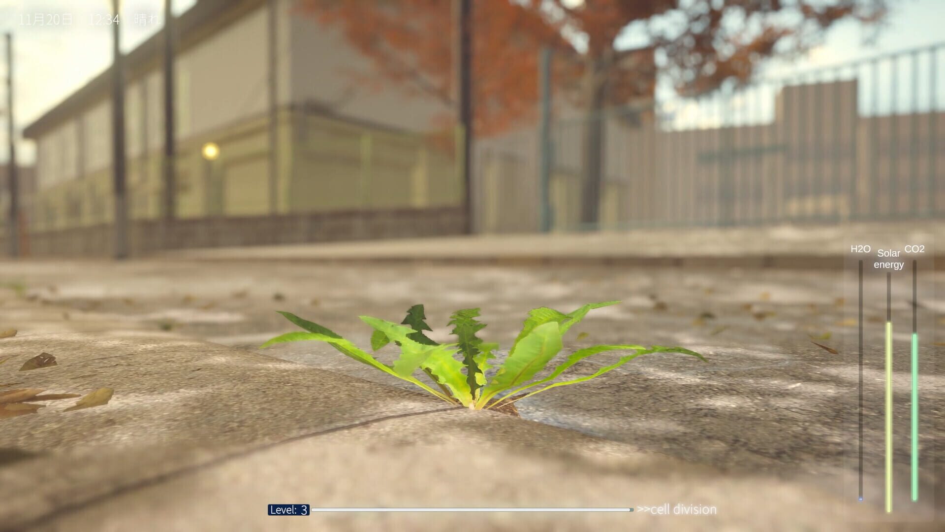 The Dandelion Endures. Screenshot