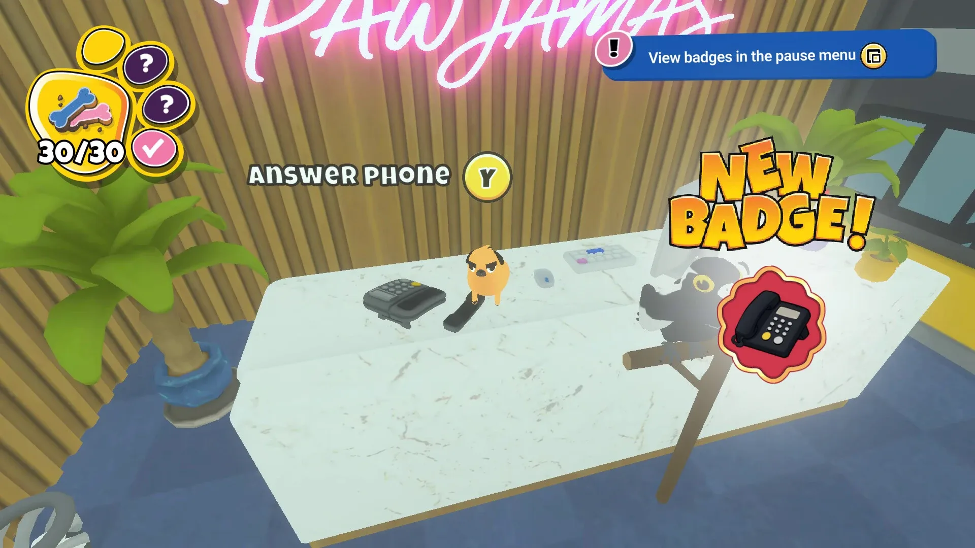 Thumbnail 11