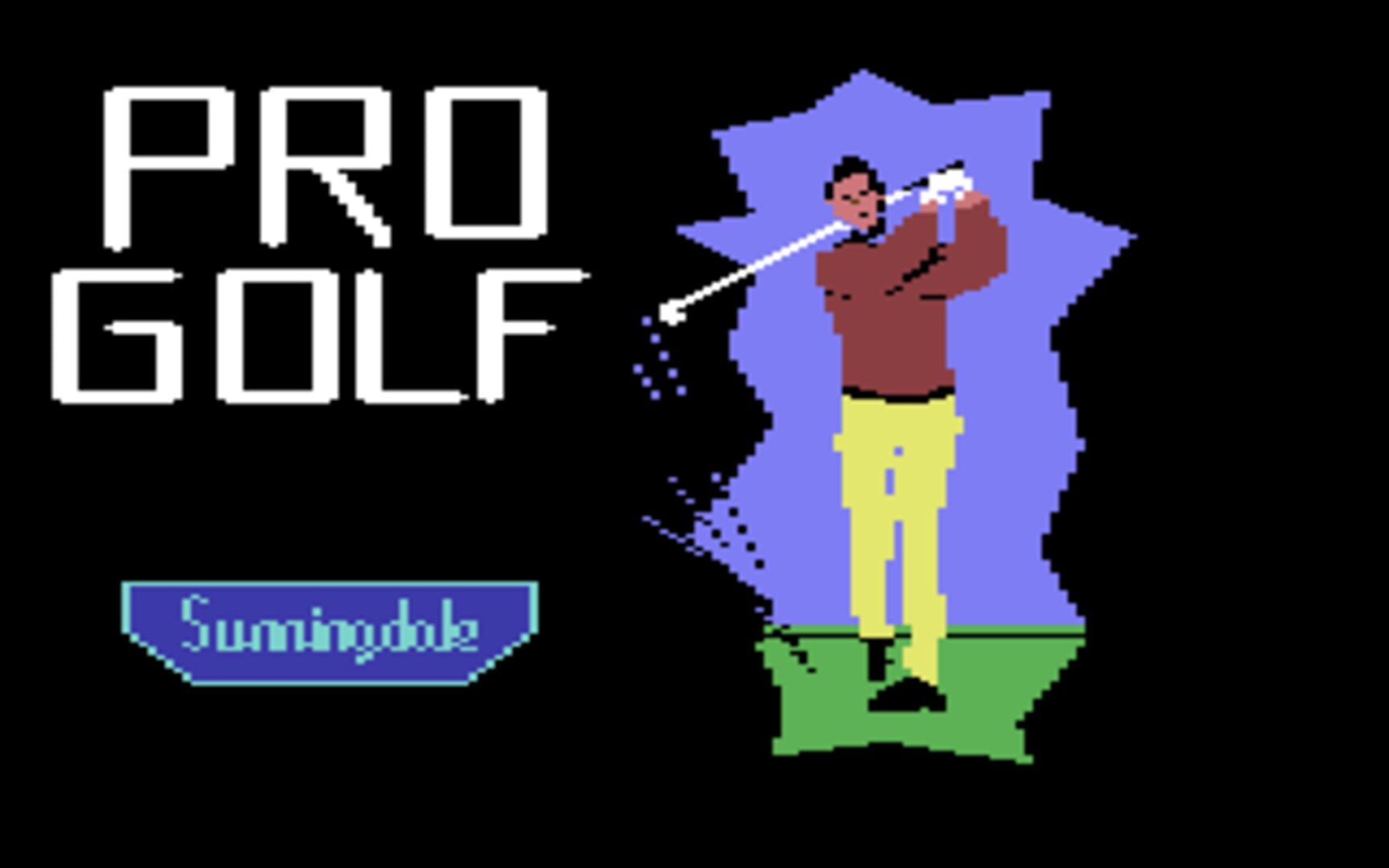Pro Golf · 游戏截图