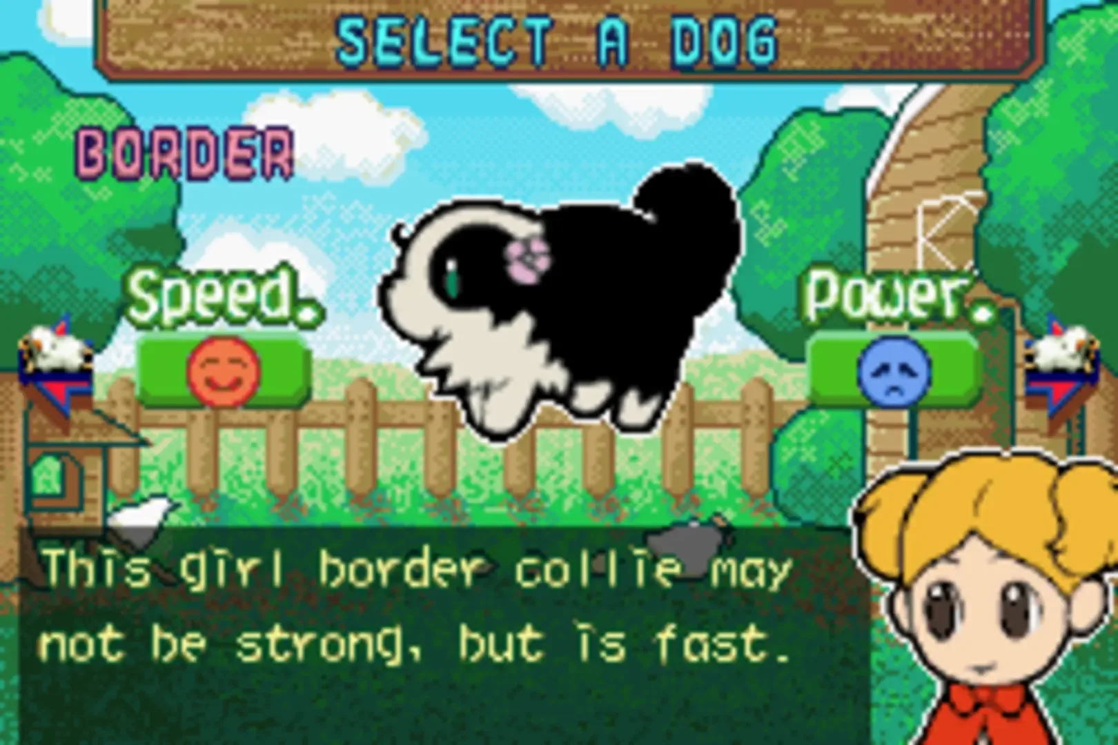 Sheep