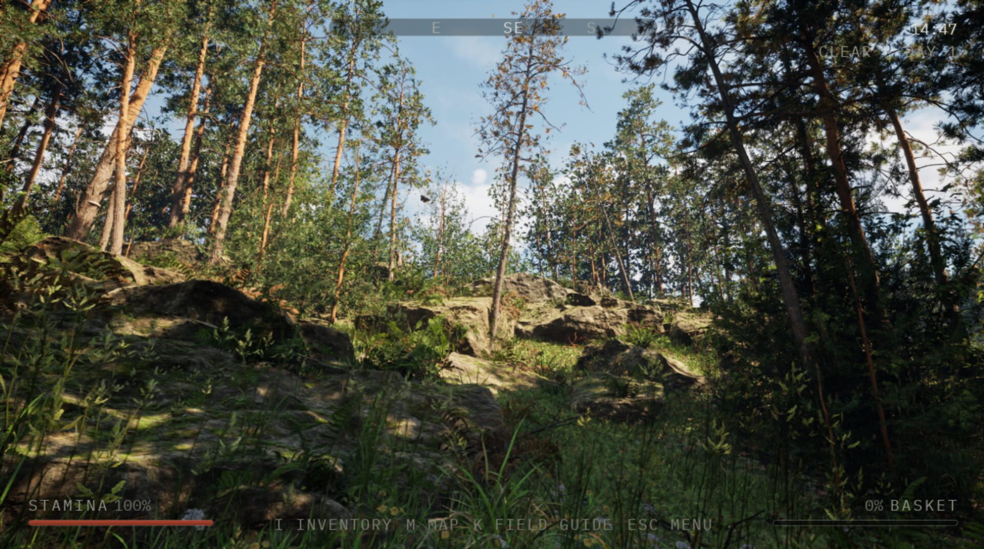 Holy Shroom!