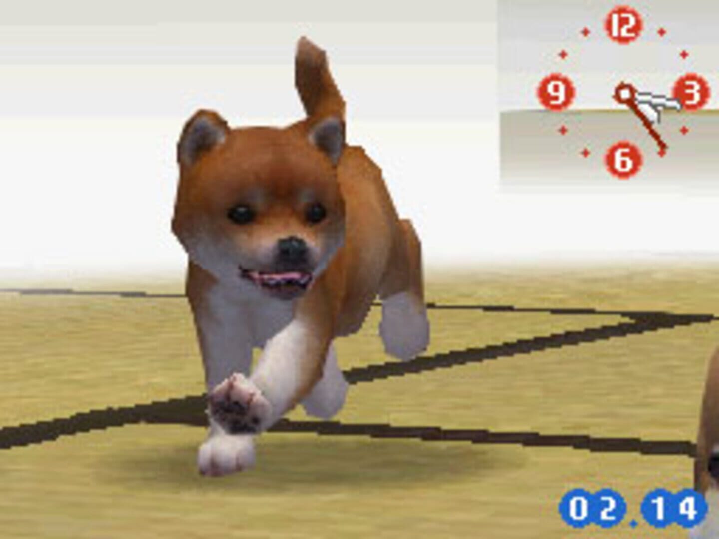 Nintendogs: Shiba & Friends