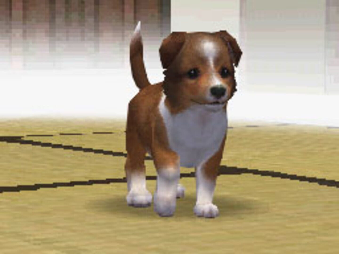 Nintendogs: Shiba & Friends