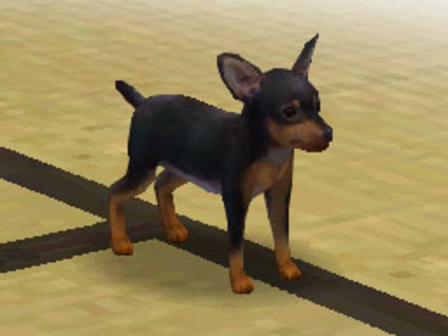 Nintendogs: Shiba & Friends · 游戏截图