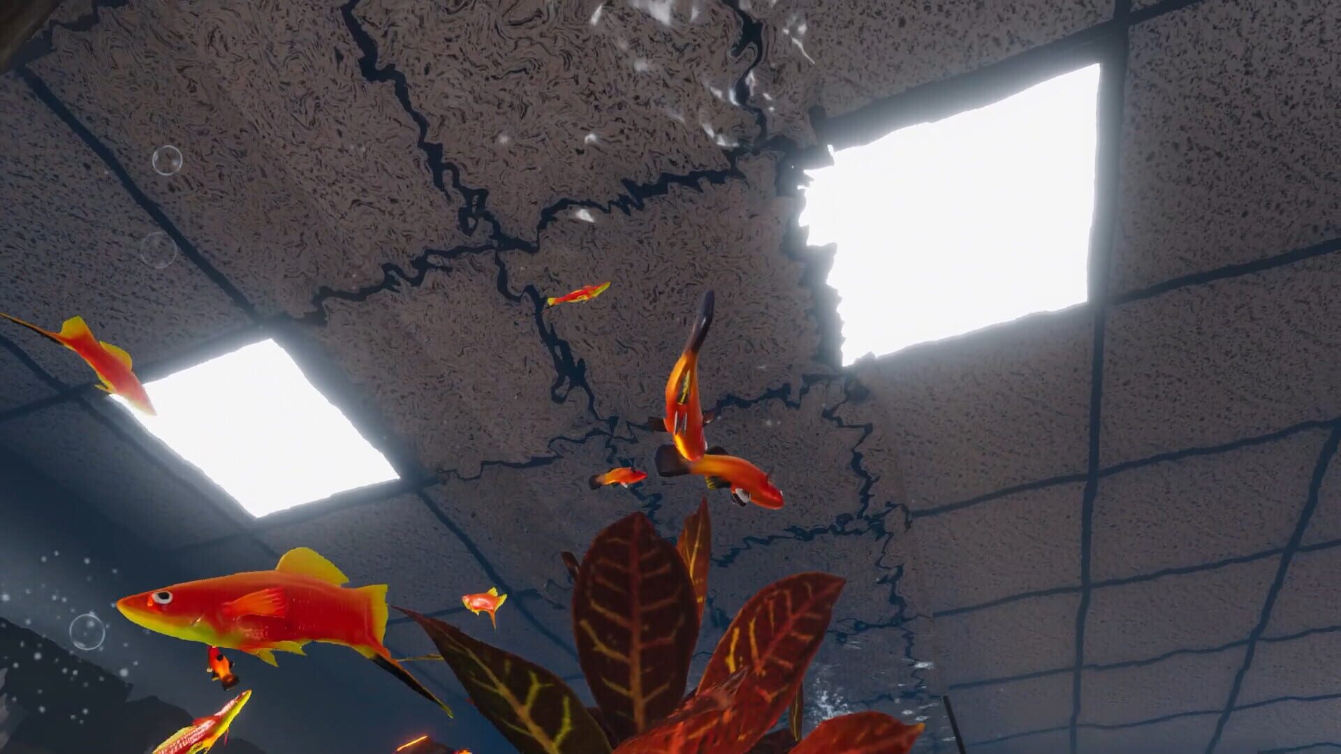 Aquarist: American Fish DLC · 游戏截图