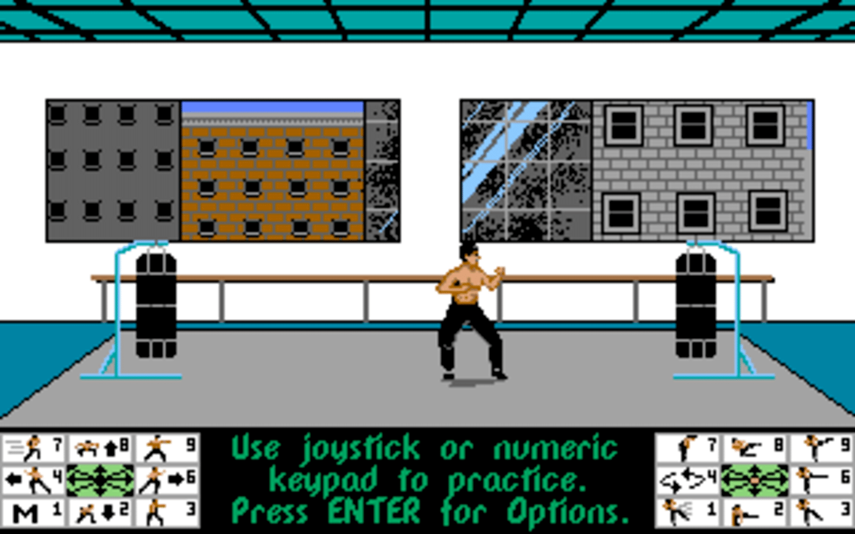 Bruce Lee Lives: The Fall of Hong Kong Palace screenshot