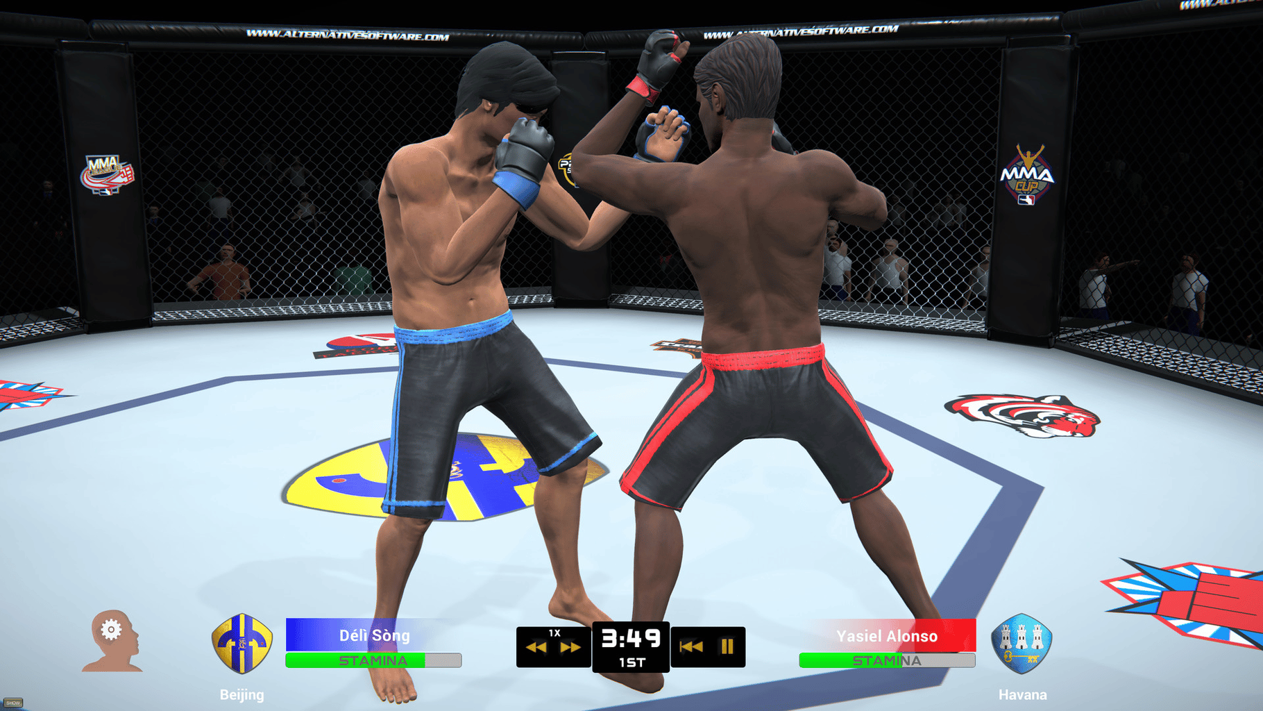 MMA Team Manager screenshot